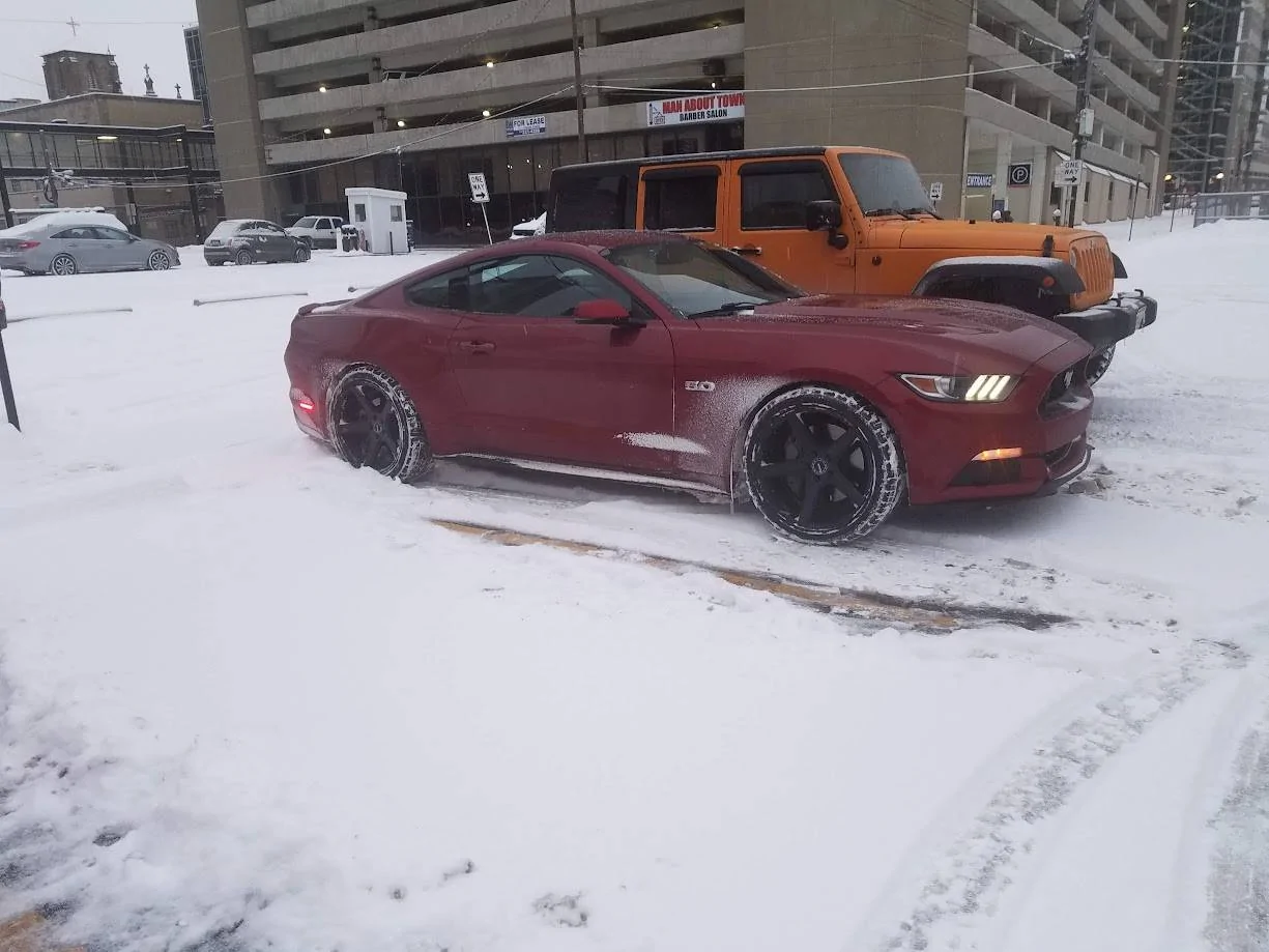 Mustang snow1.webp