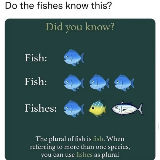 5c556011e38b6c79c0fb5e3519c3df066907e75c.webp