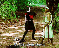 ykwjwckbt45h8ya1gb35aywzhw3ehflh7c1kmz7p&rid=giphy.gif