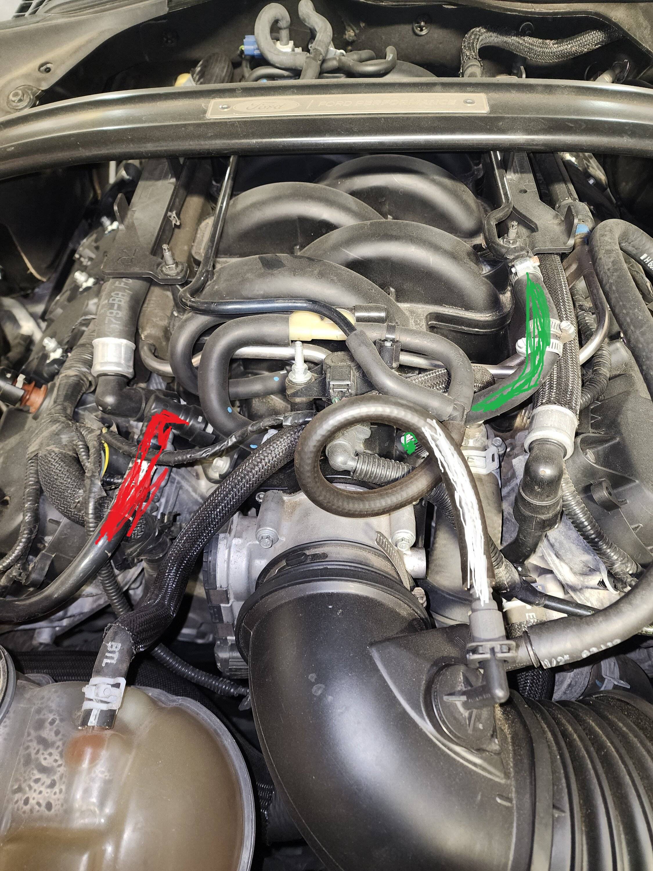gt350 4a.jpg