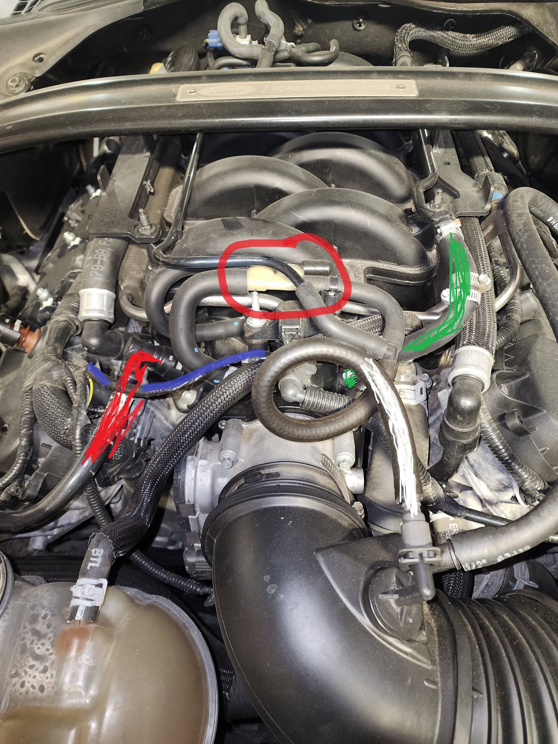gt350 4a.jpg