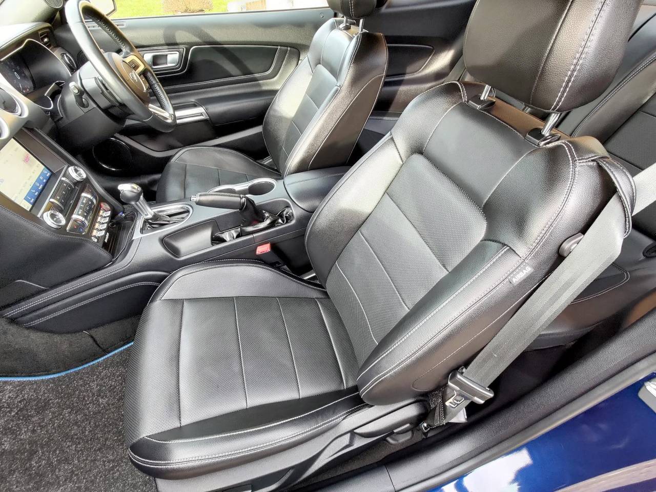 Clean_Interior_1.jpg