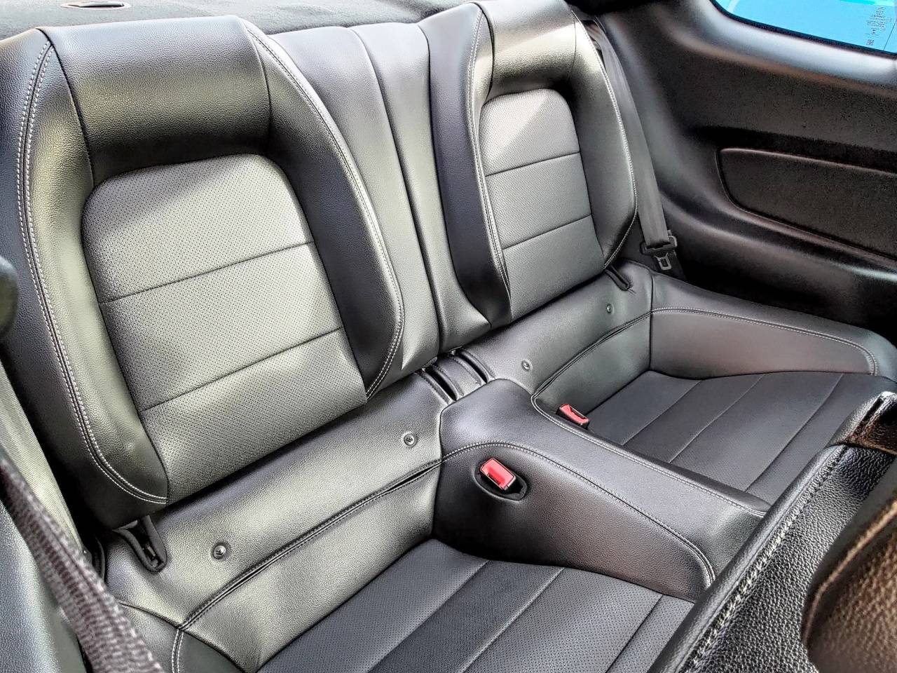 Clean_Interior_3.jpg