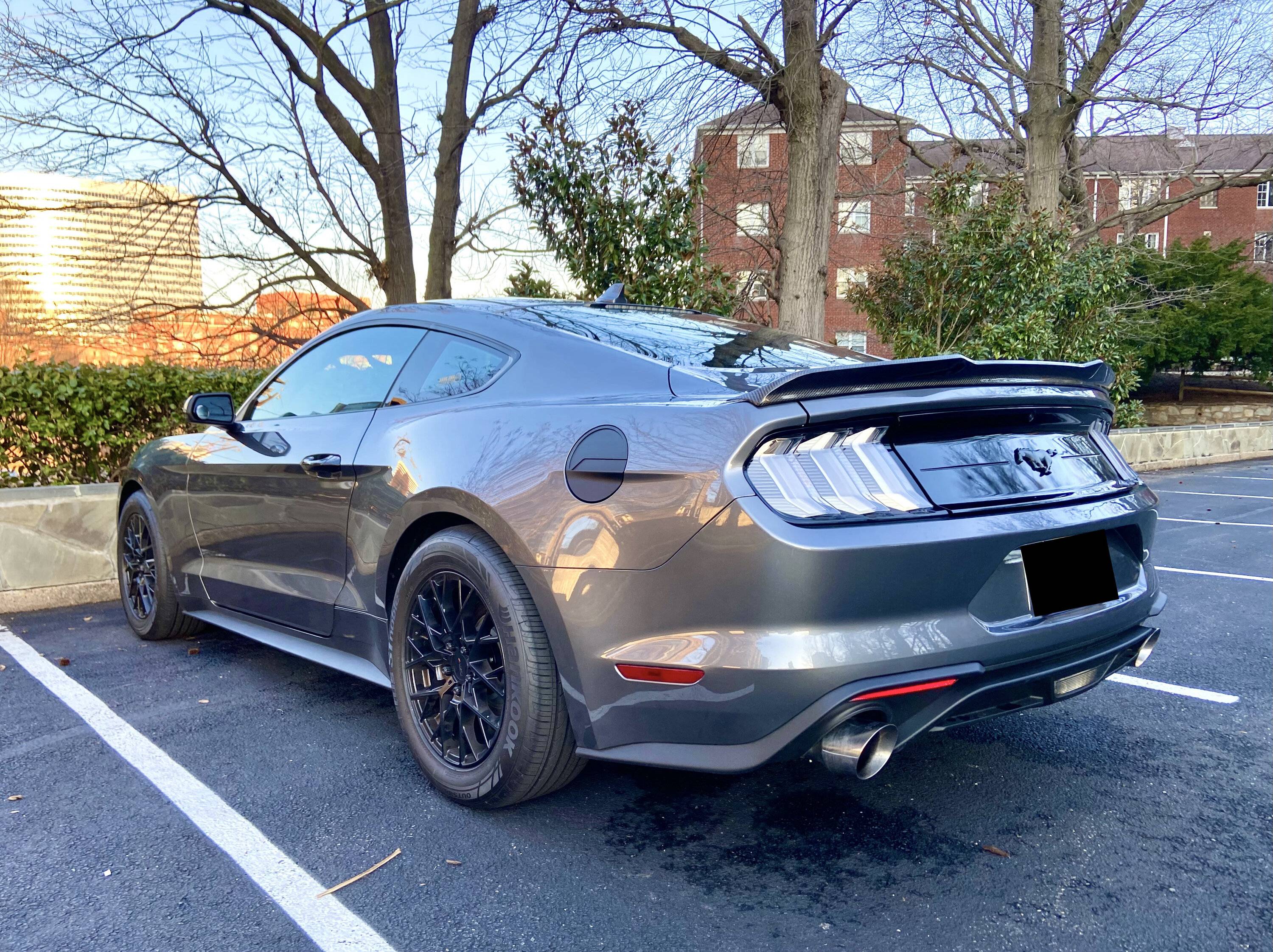 IMG_3523.jpg