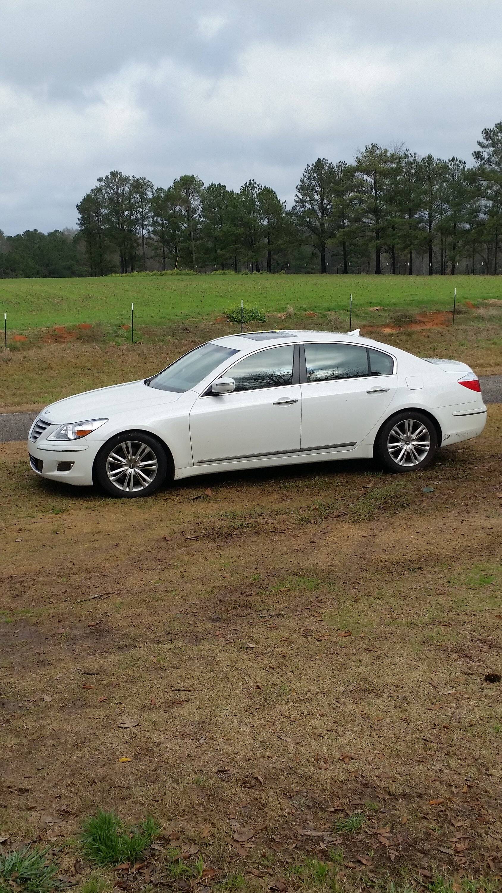 2011 Genesis.jpg