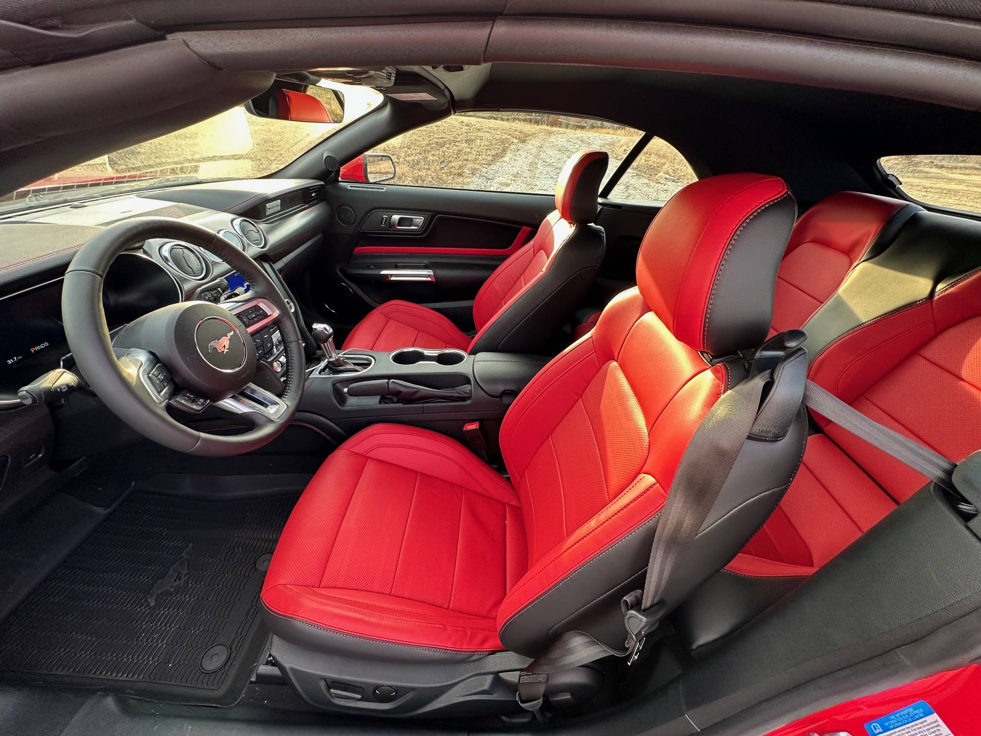 Stang4.jpg