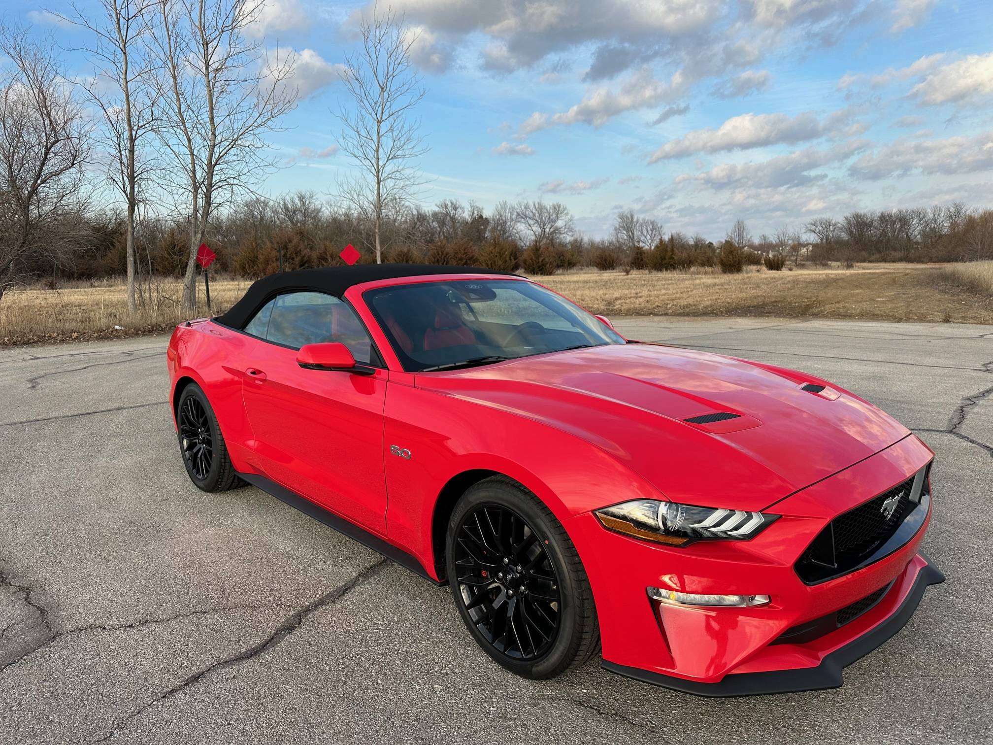 Stang3.jpg