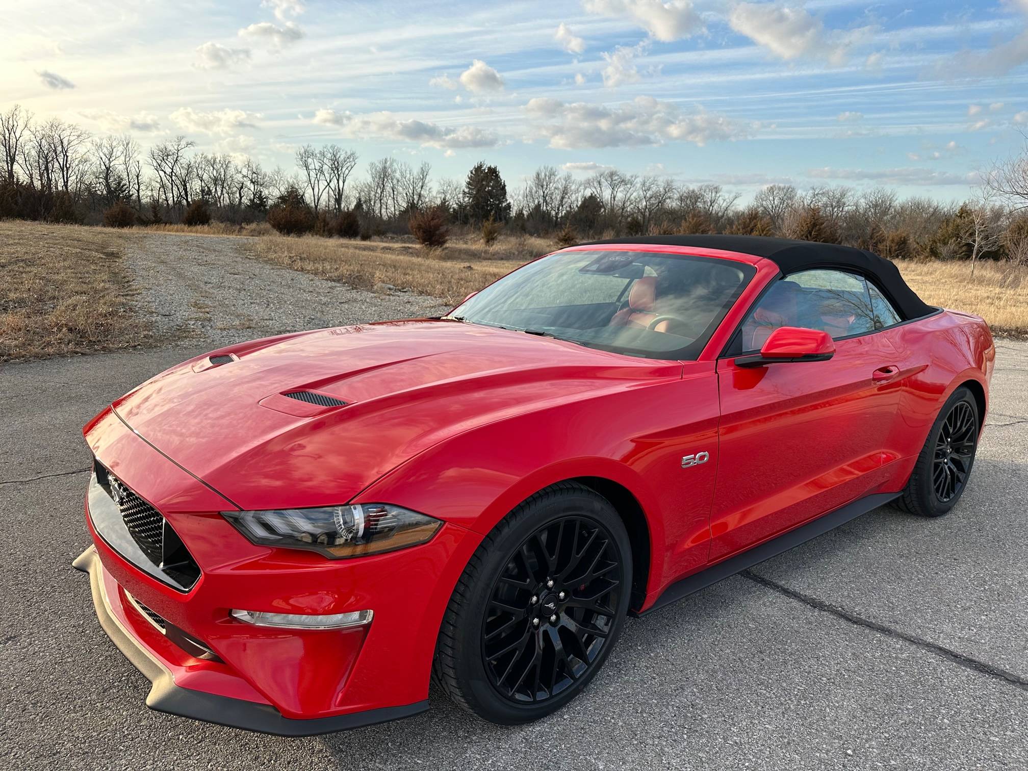 Stang2.jpg