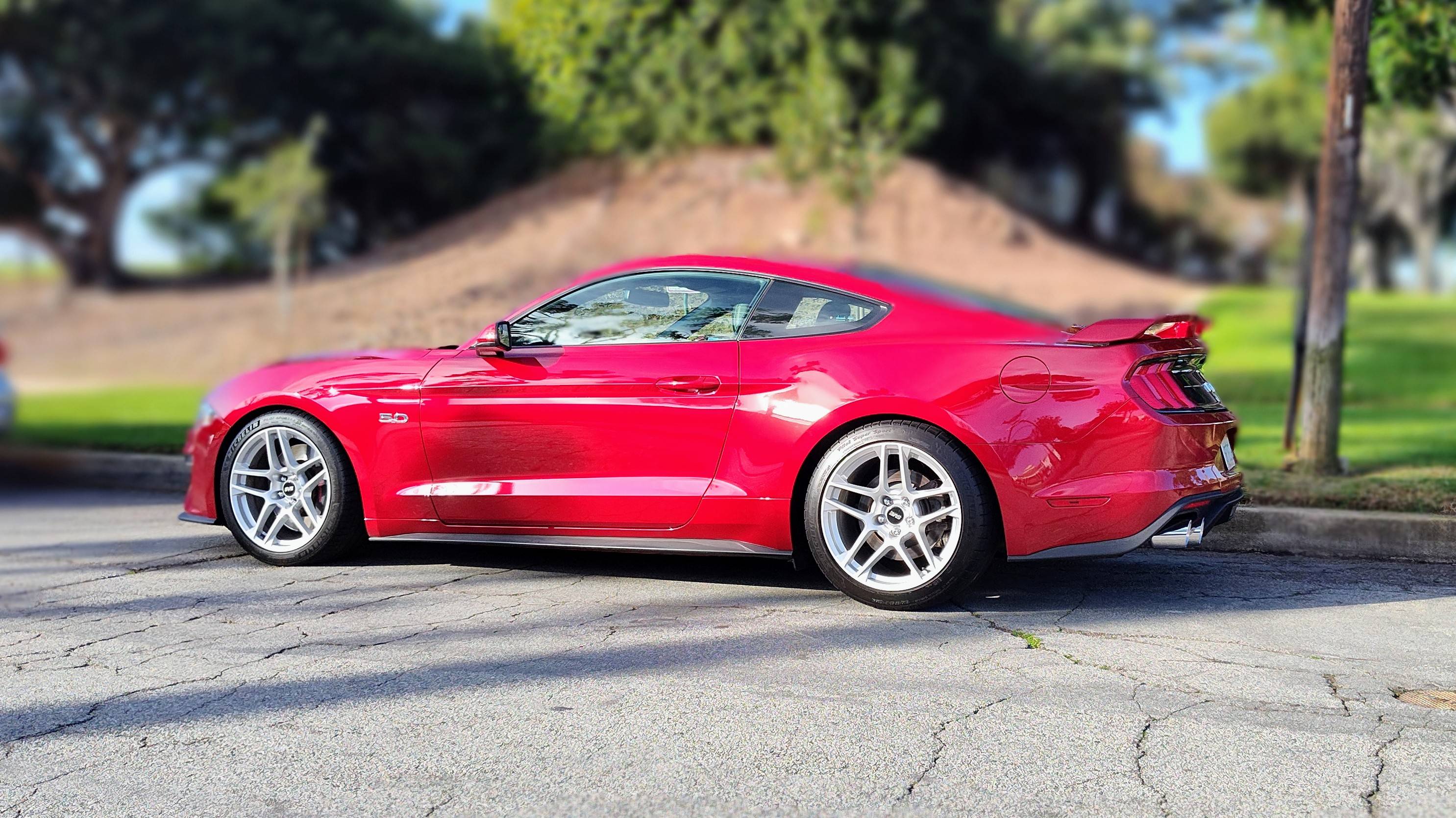 IMG_20230120_090622914_MF_PORTRAIT.jpg