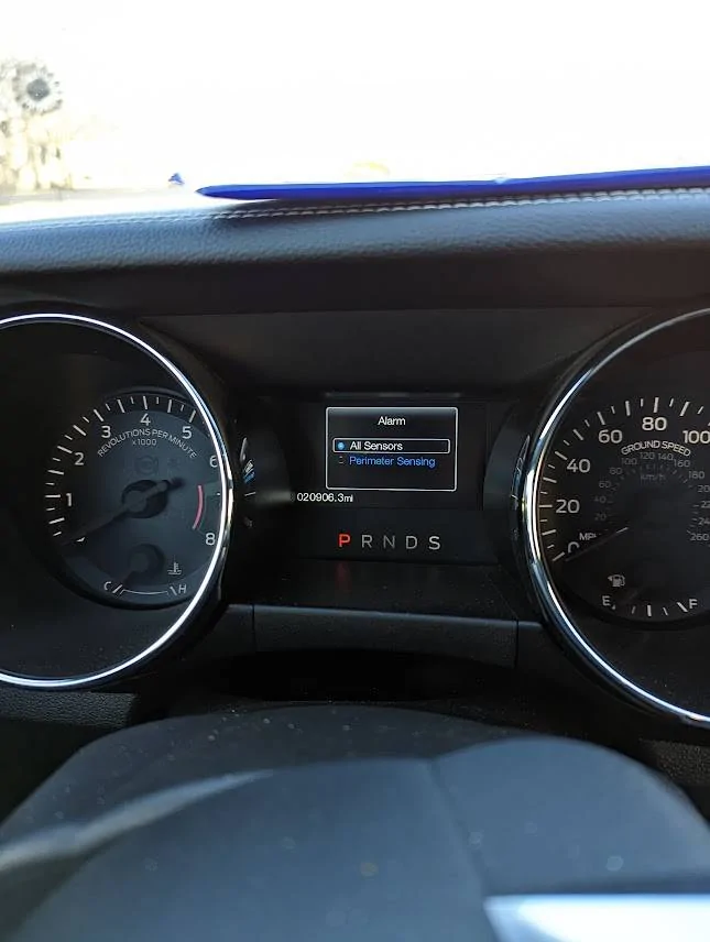 2015_5.jpg