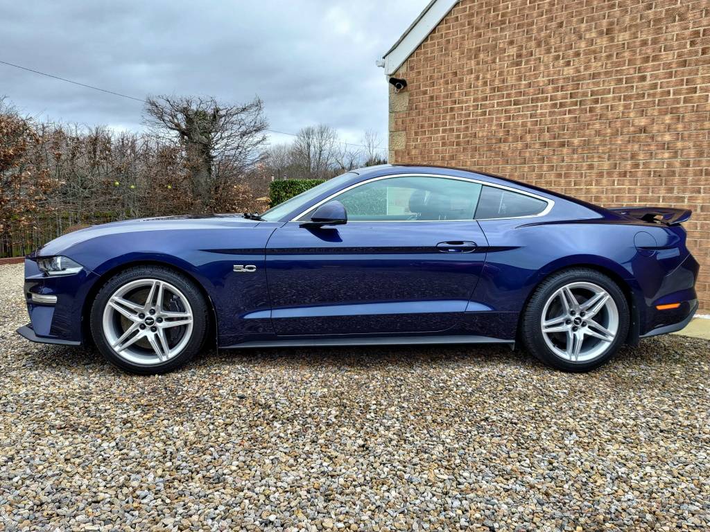 Clean Side View.jpg