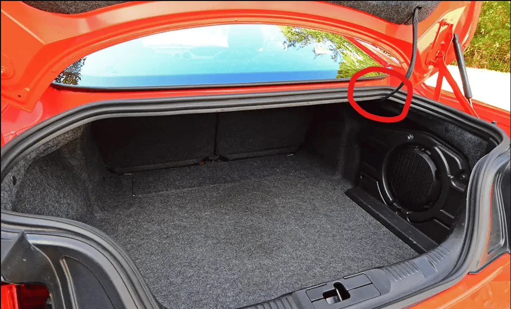 Trunk.webp