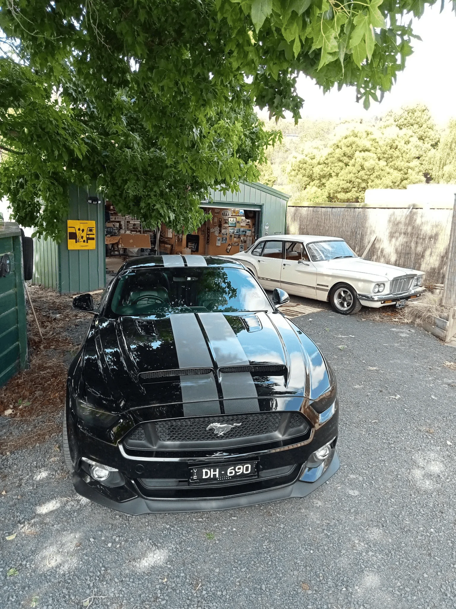 1677203151676.webp