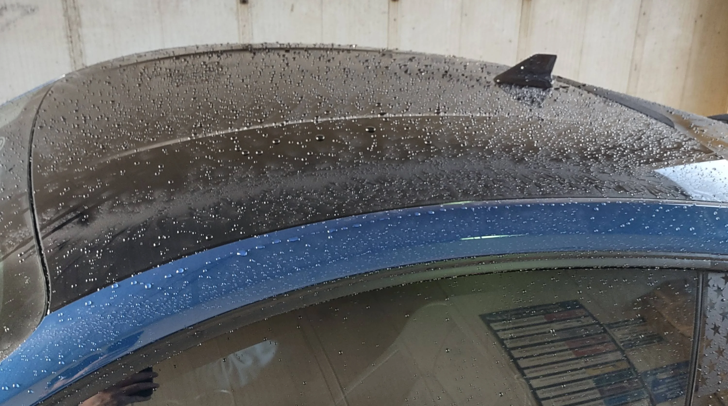 IMG_20230224_172433838_HDR~2.webp