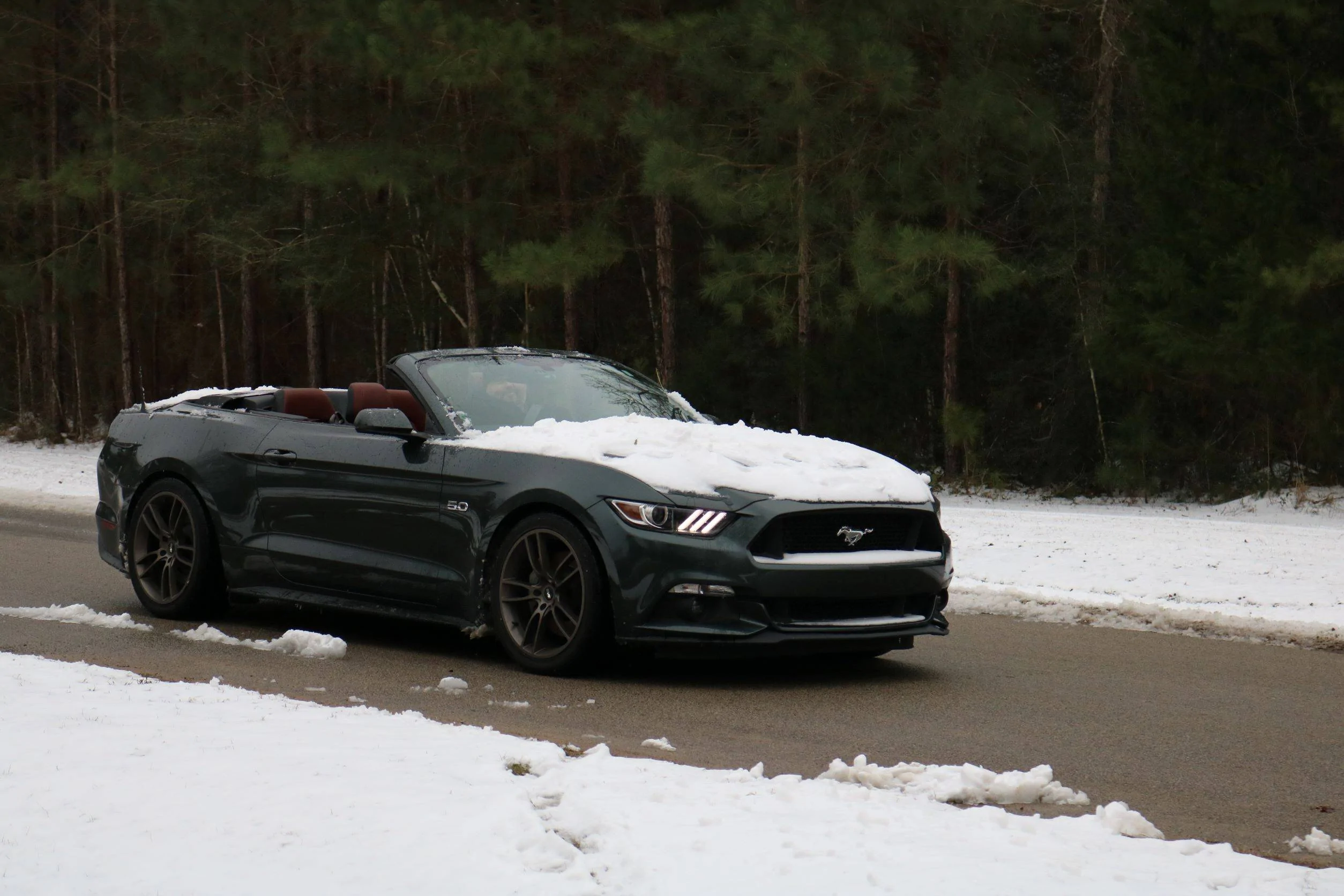 SNOWSTANG.webp