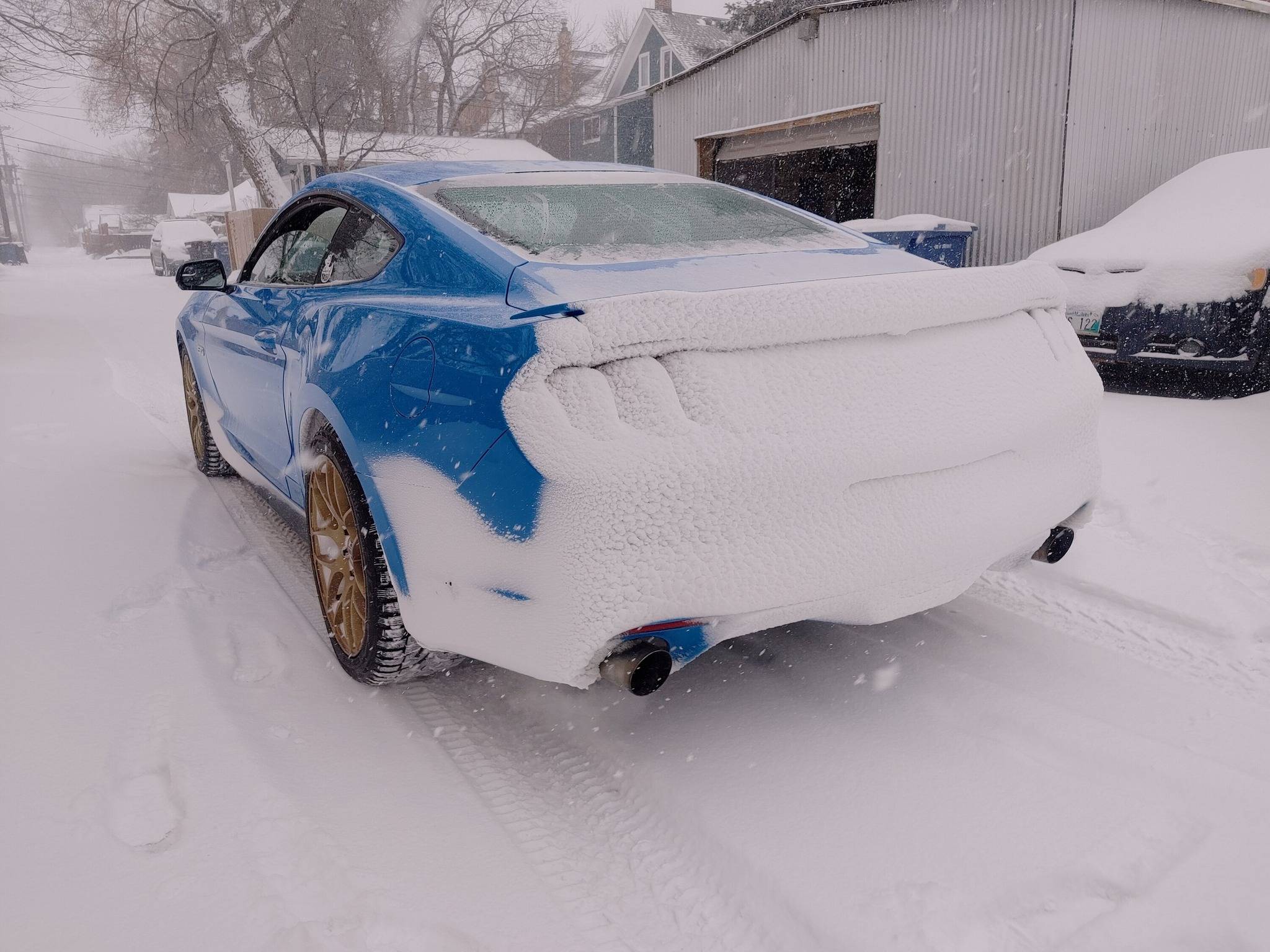 317808710_5703237969771121_3174736769158485006_n.jpg