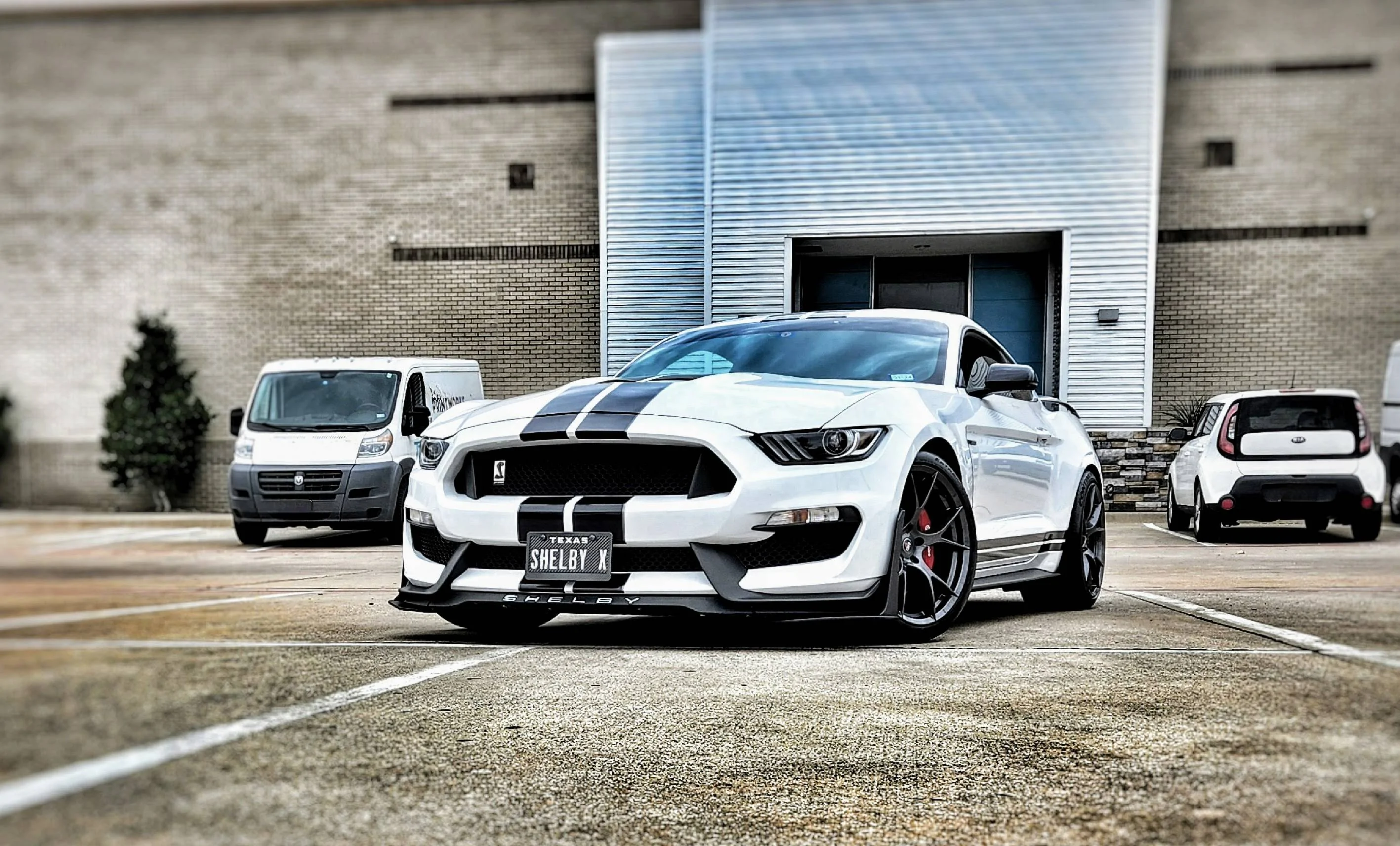 Filtered GT350.webp