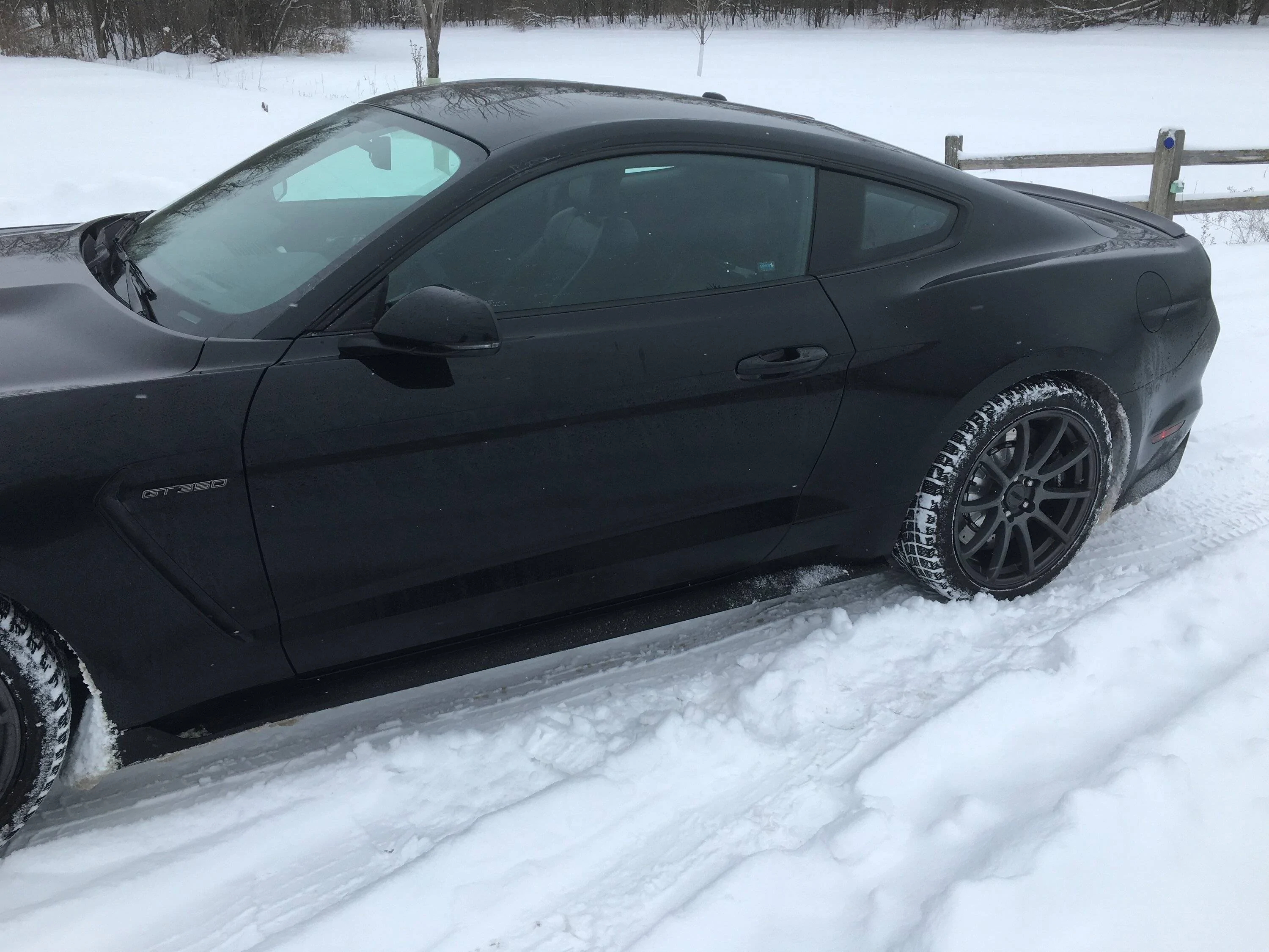 GT350snsp2.JPG