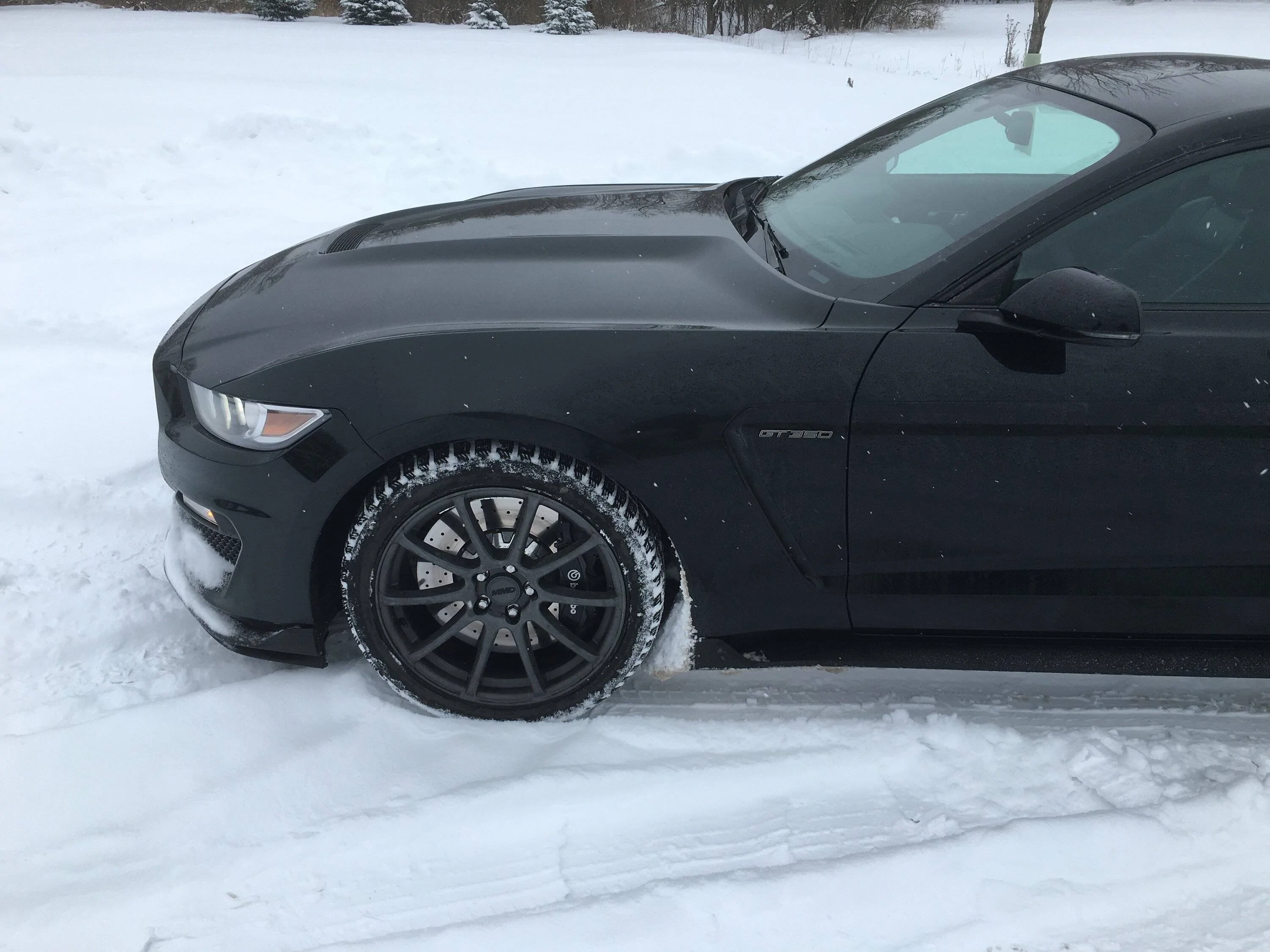 GT350snsp3.JPG