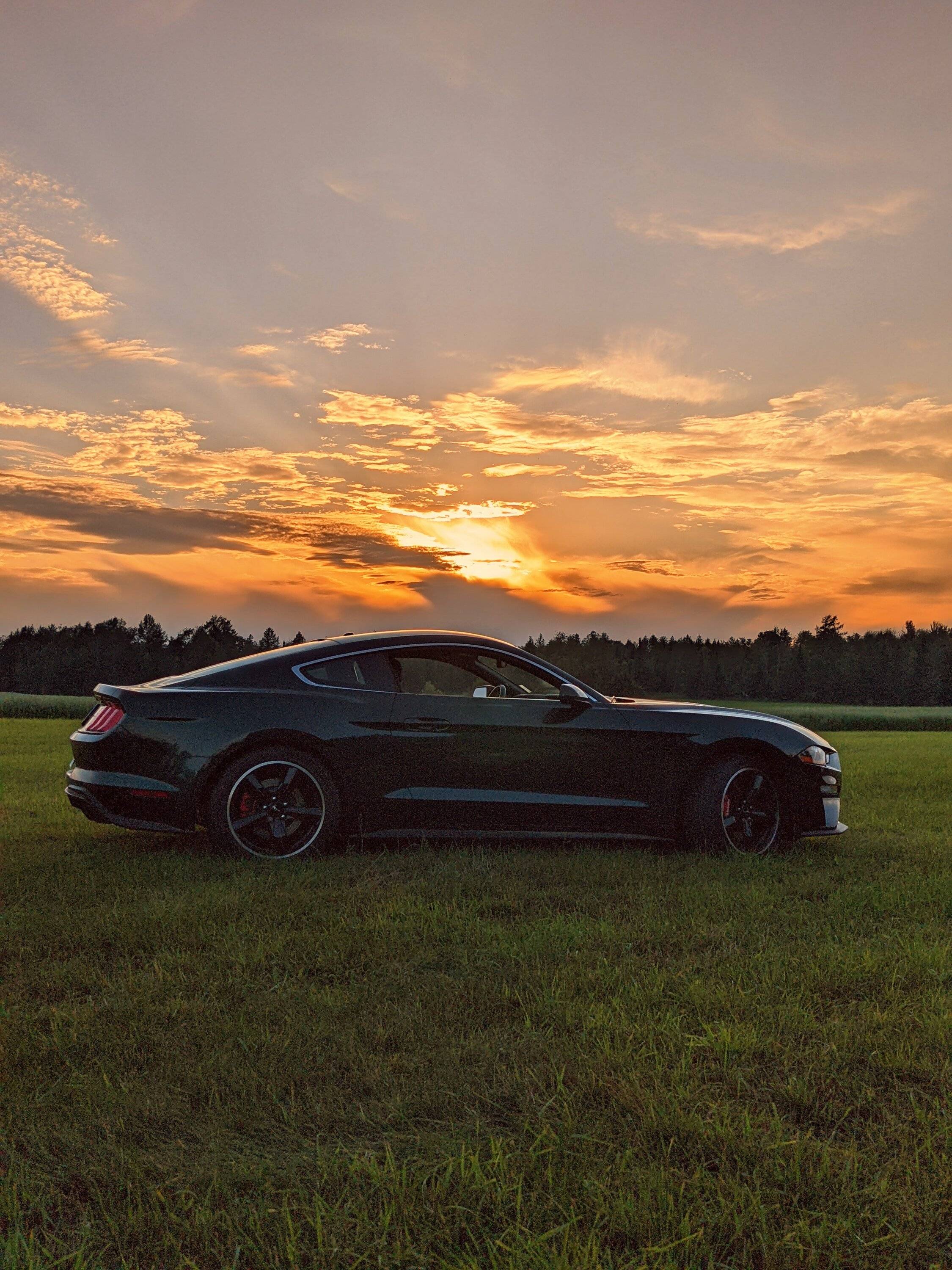 SUNSET.jpg