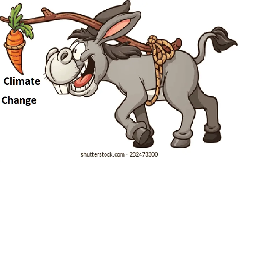 horse.webp