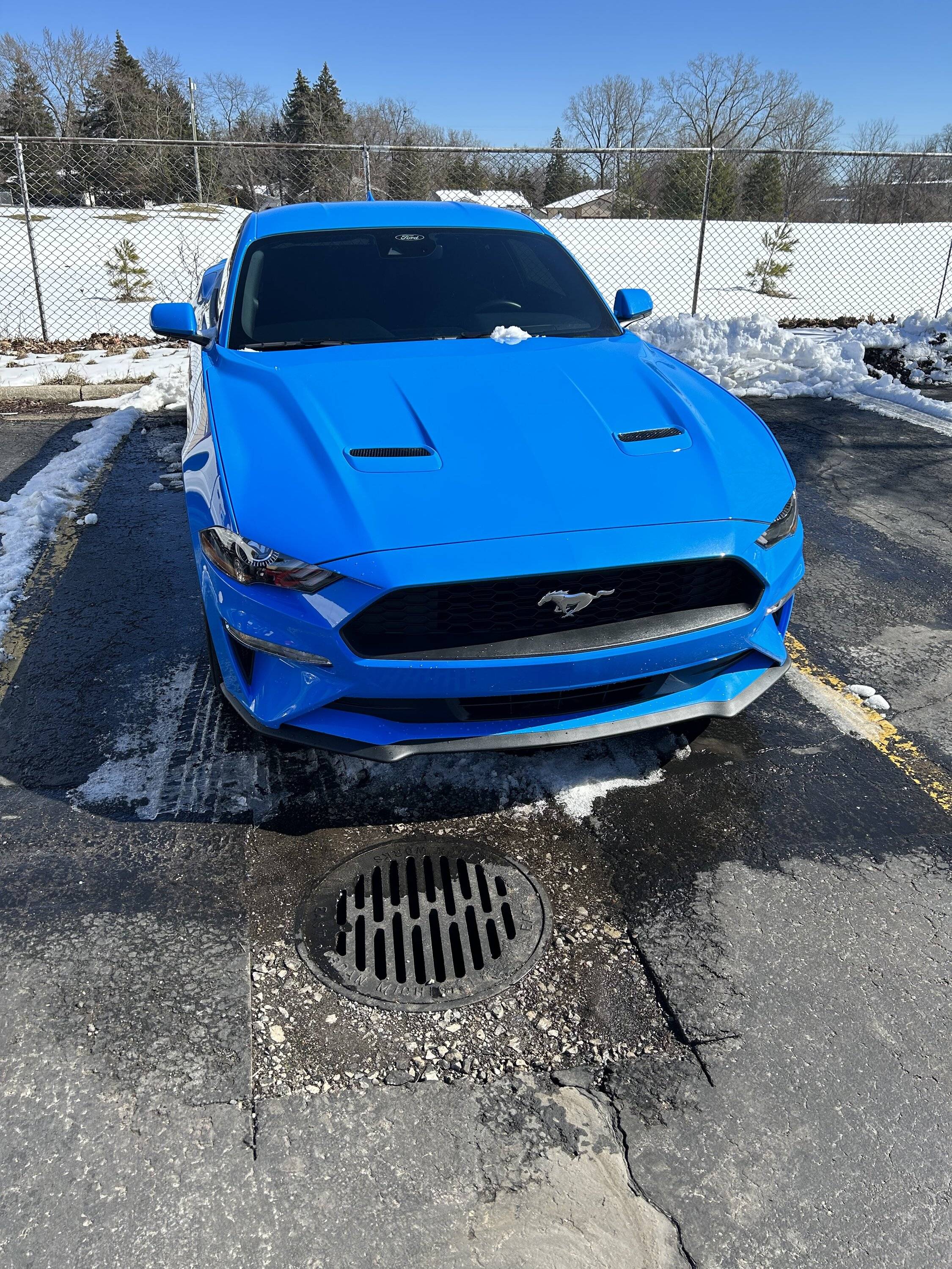 2ED0762E-6441-44C9-BE73-9554FFCCA1E5.jpeg