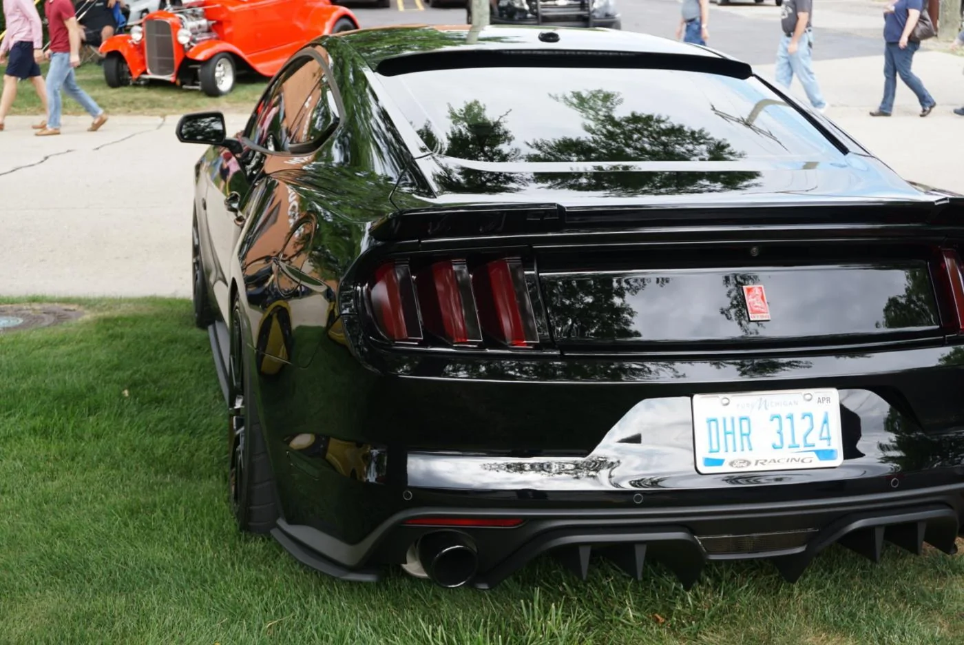 DSC00410_1.webp