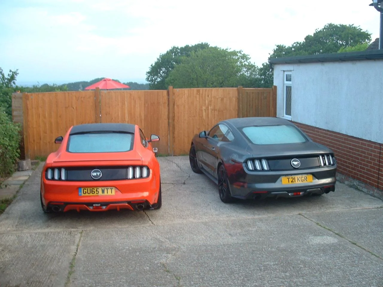 DSCF0008.webp