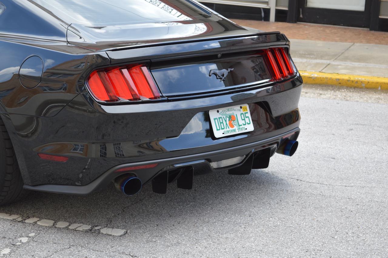 DSC_0065.jpg