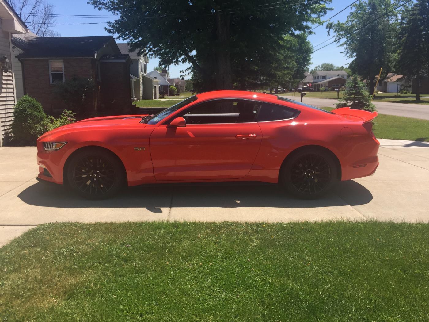Mustang 2.jpg