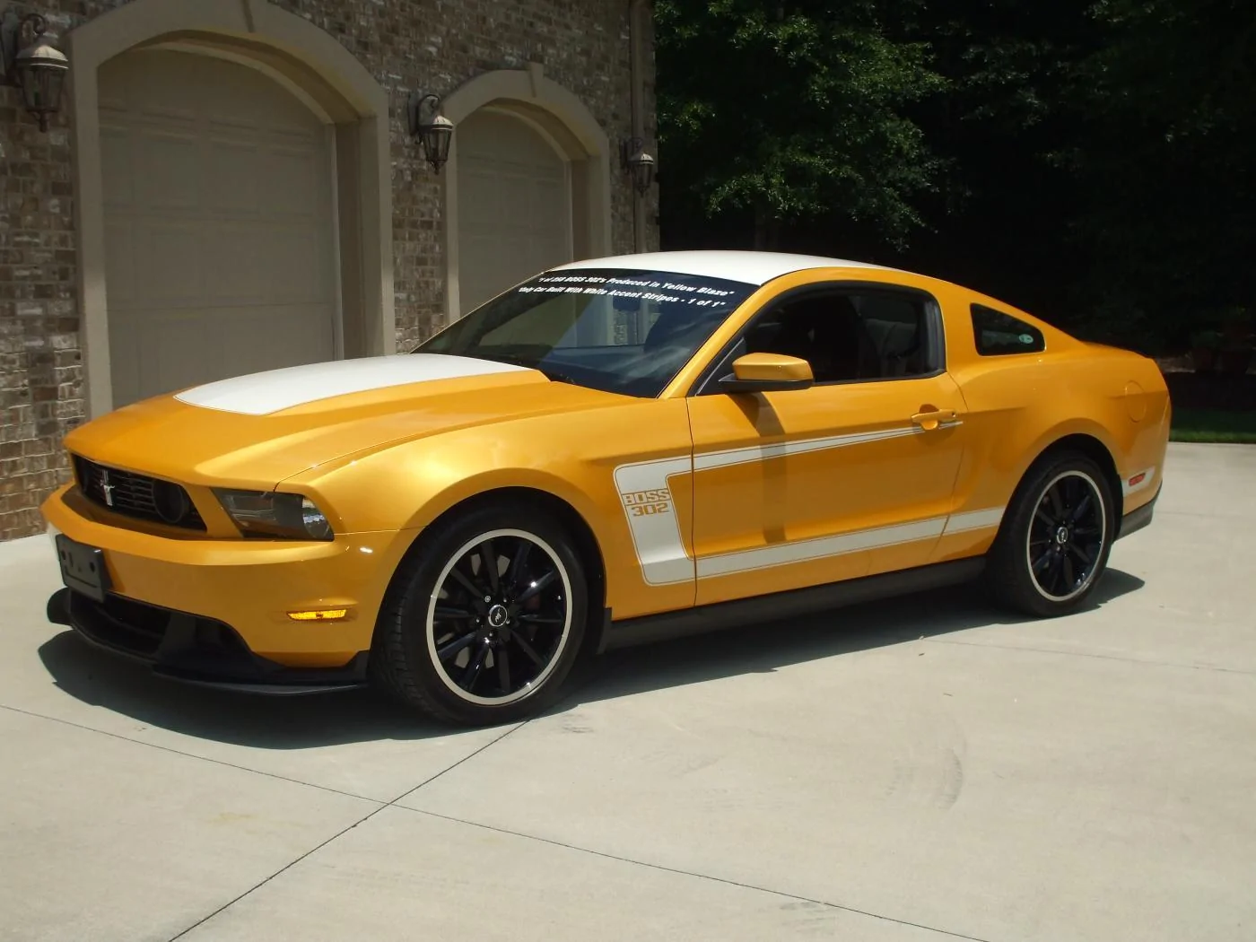 DSCF1153.webp