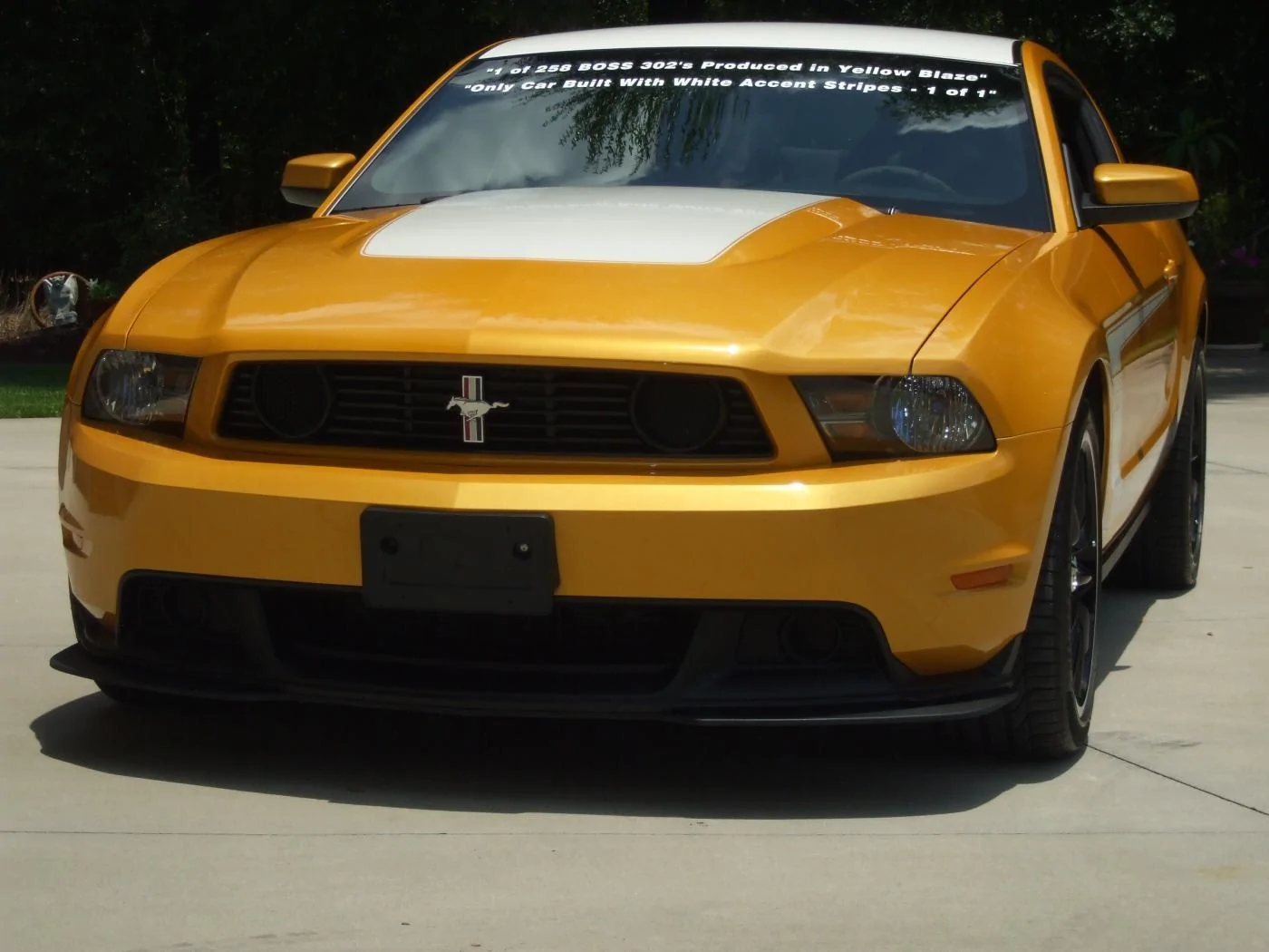DSCF1157.webp