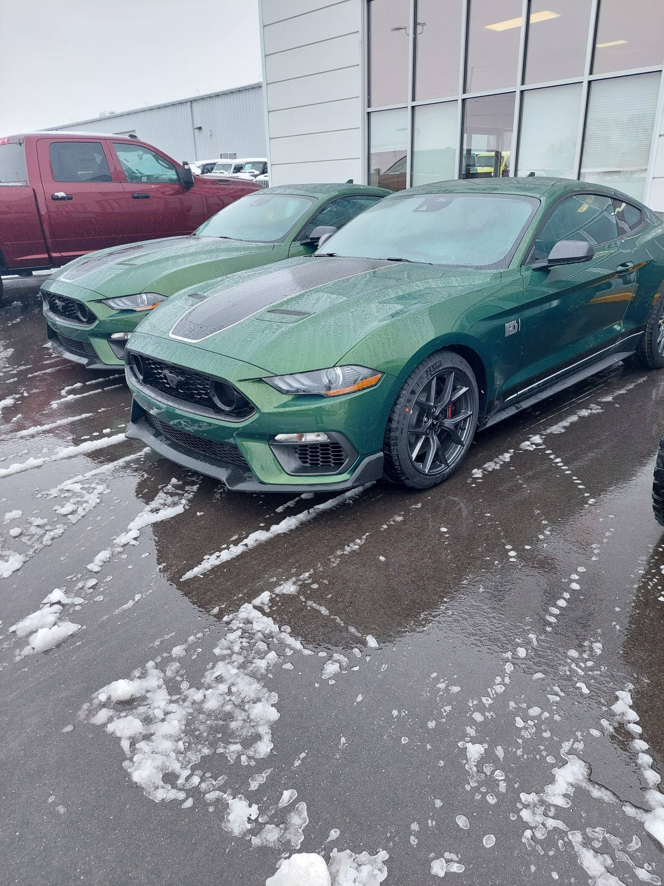 20230309_120818.jpg