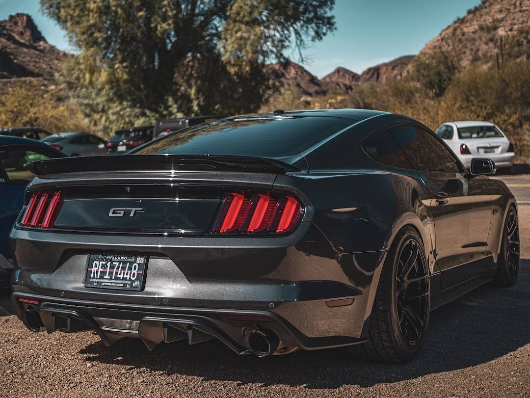 sTANG 1.jpg