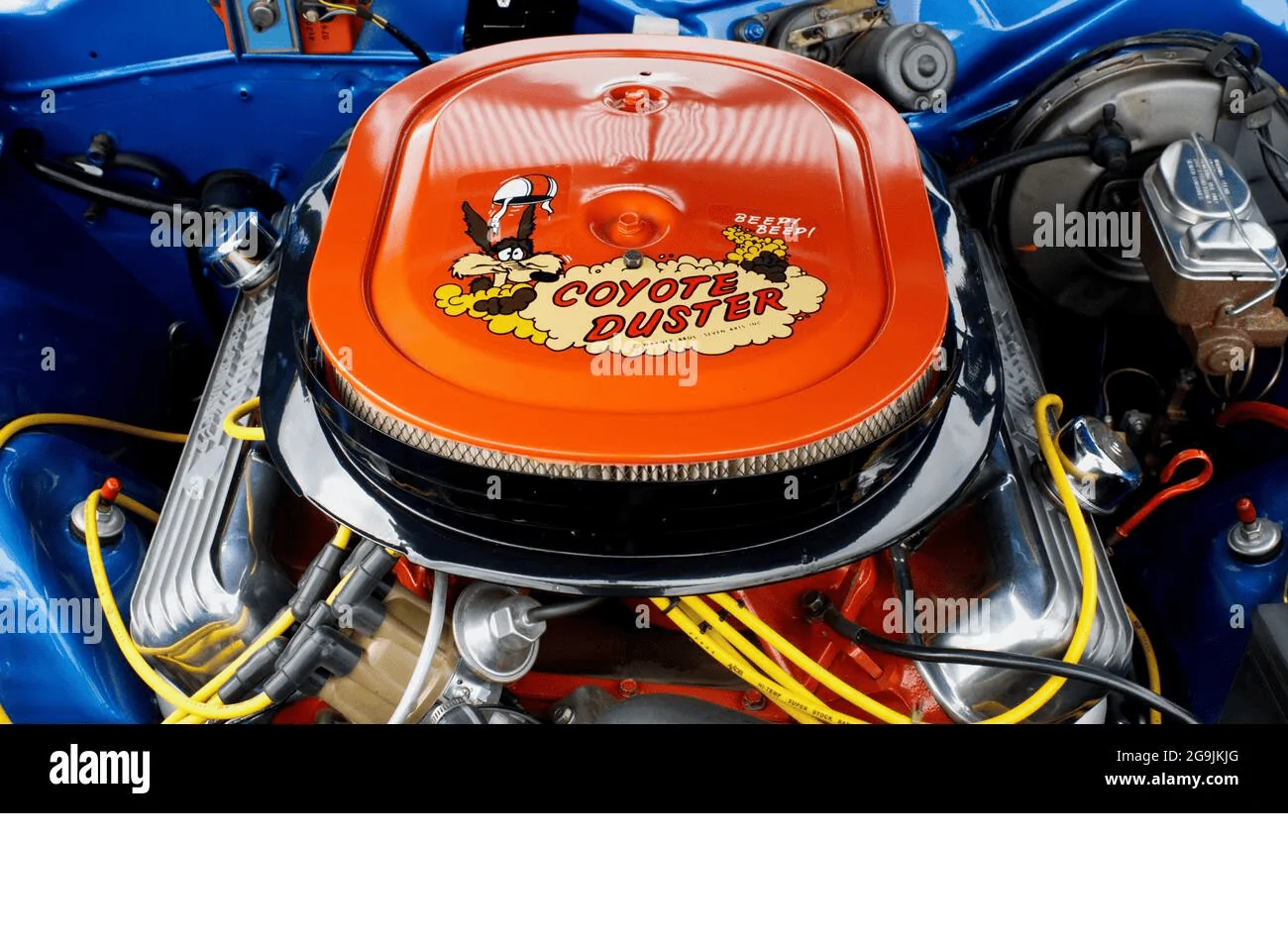 rr.webp