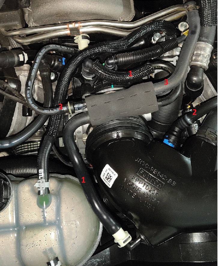hoses.jpg