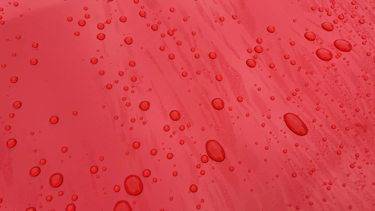 IMG-E7840.webp