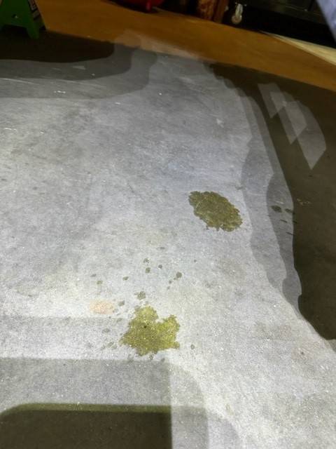 Leak.jpg