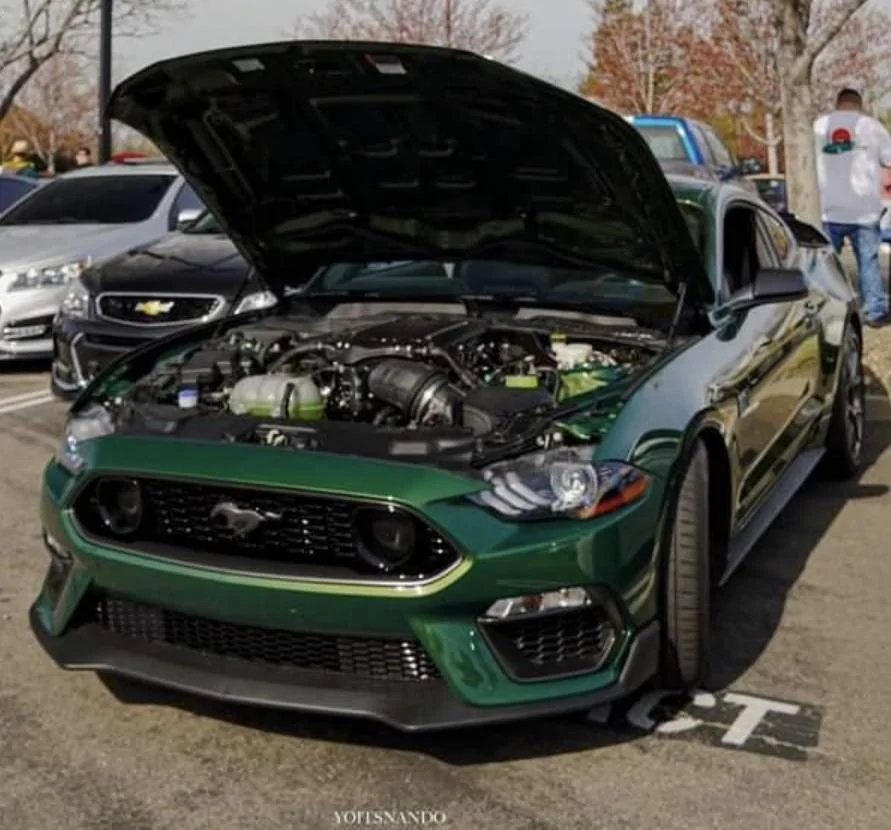 Screenshot_20230322_194917_Gallery.webp