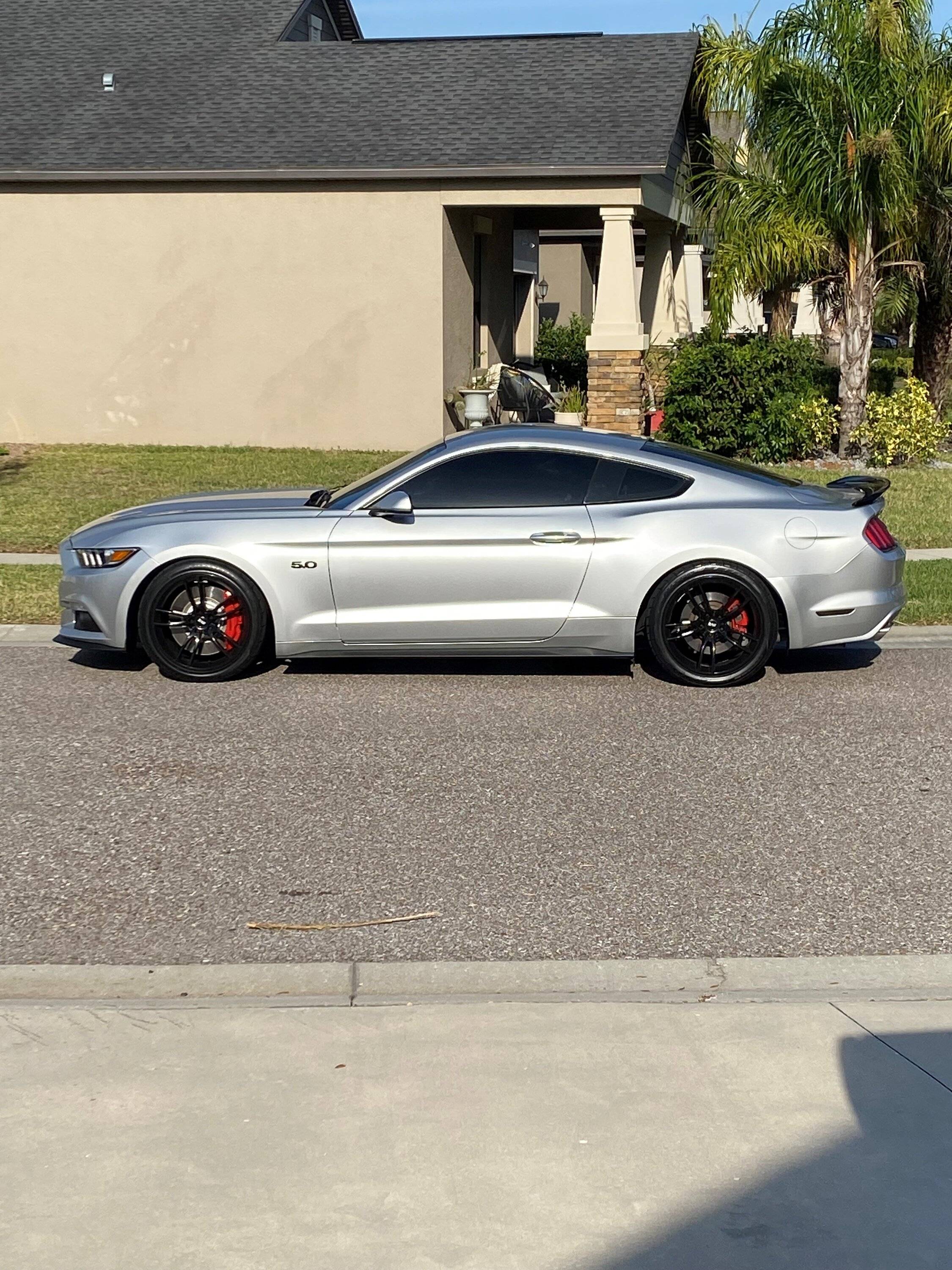 Mustang x1.jpg