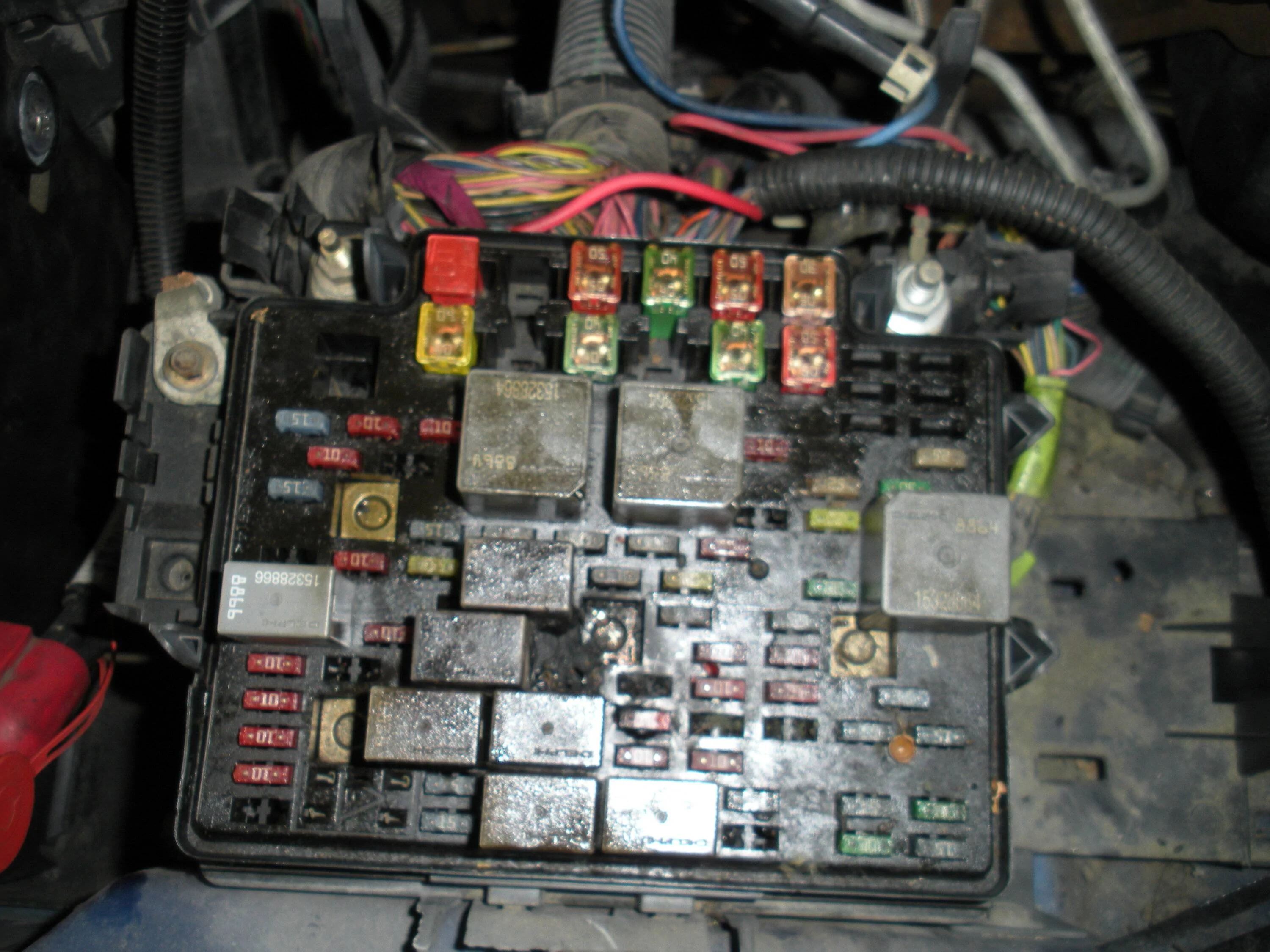 DSCN8976.webp