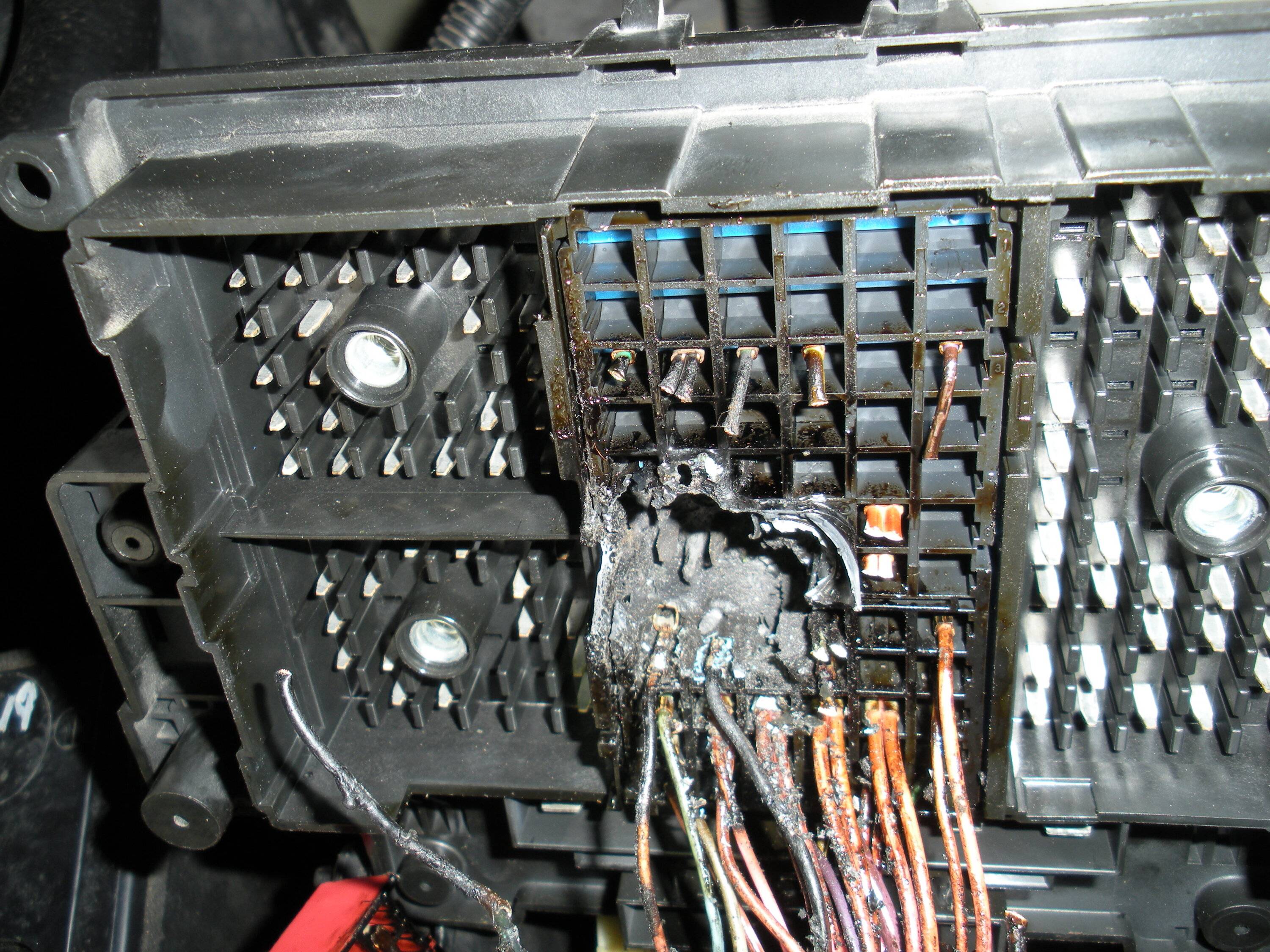 DSCN8991.JPG