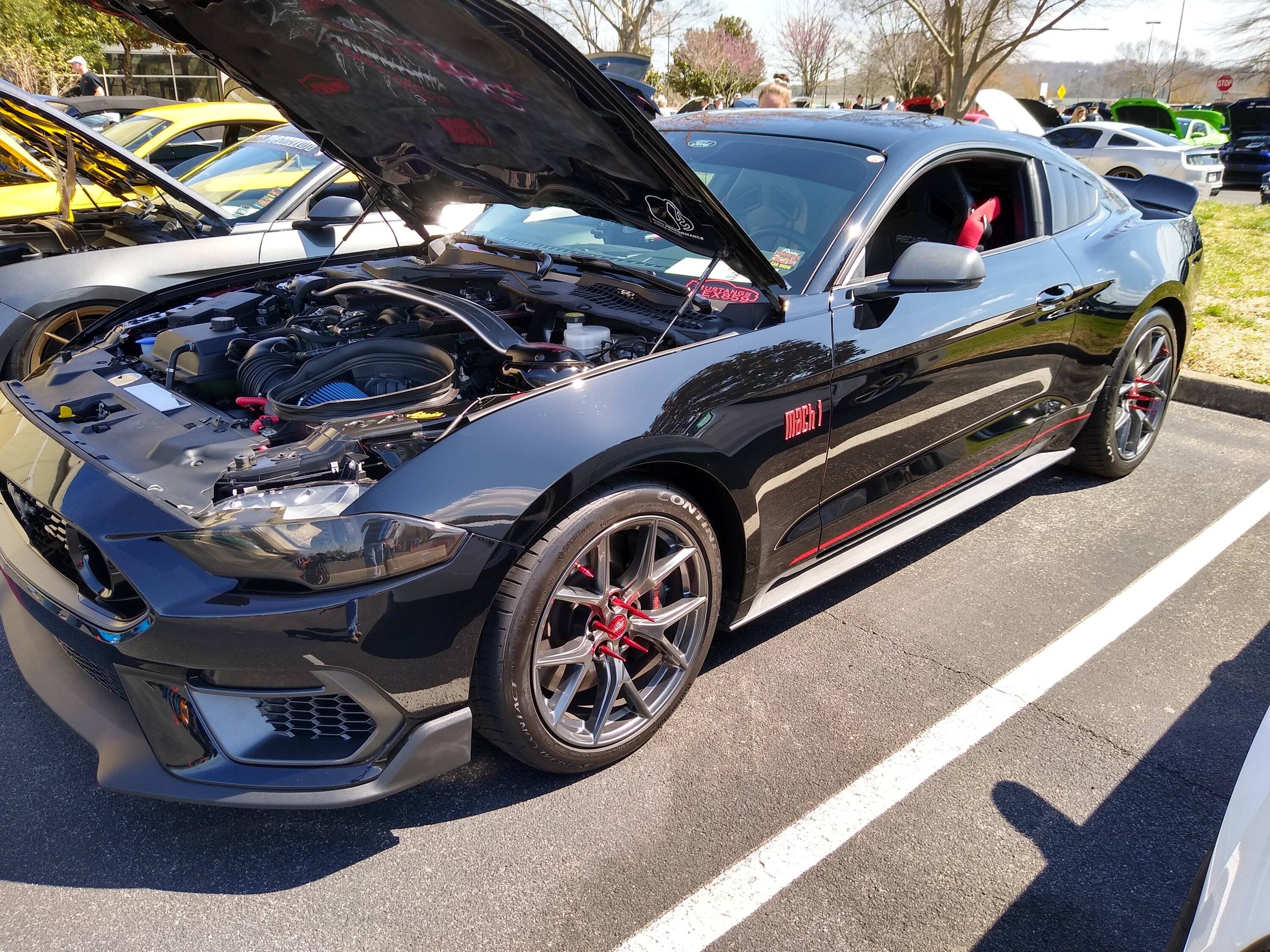IMG_20230324_122235793_HDR.jpg
