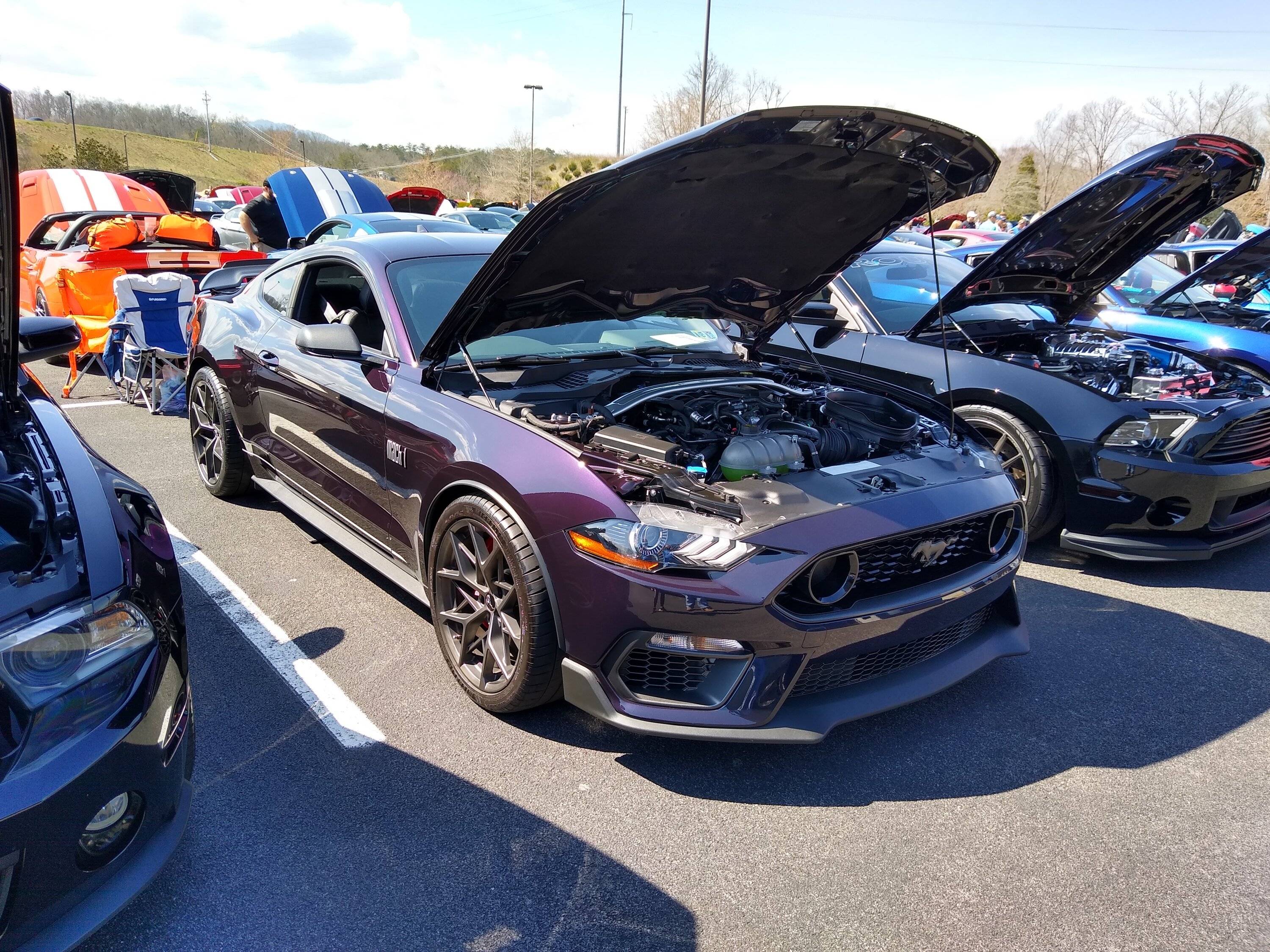 IMG_20230324_122500794_HDR.jpg