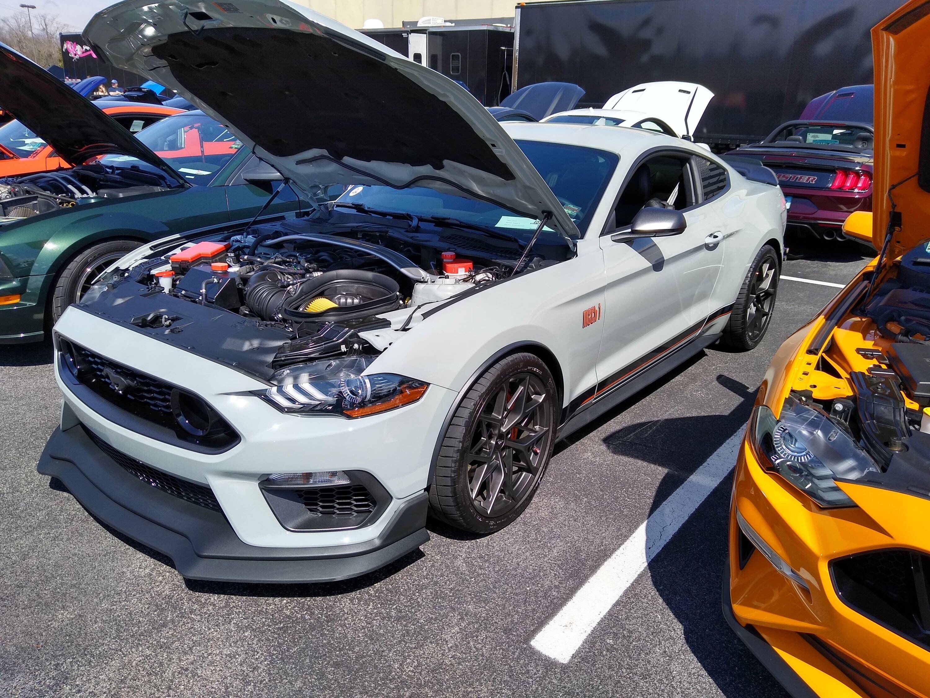 IMG_20230324_123031327_HDR.jpg