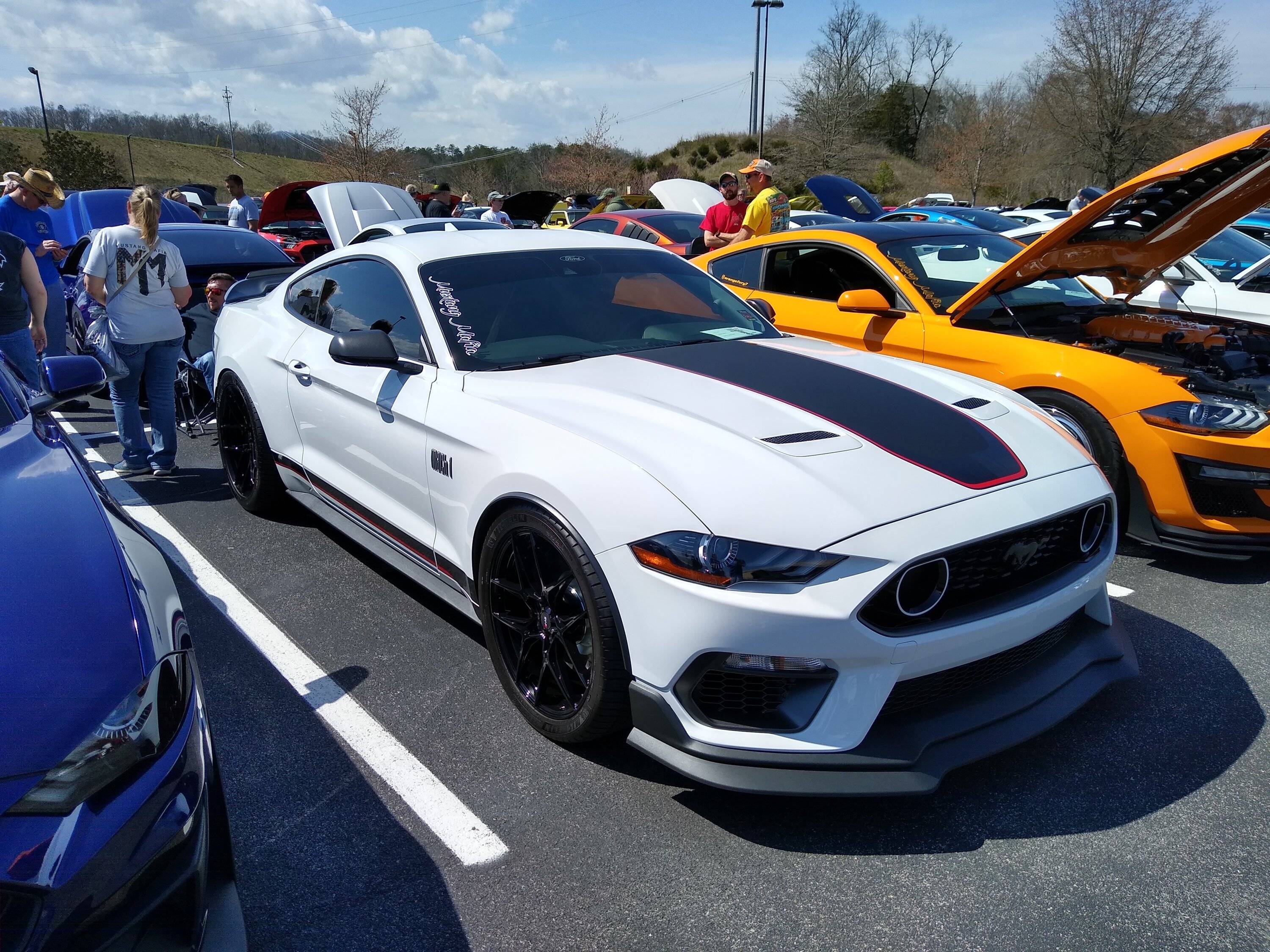 IMG_20230324_123454858_HDR.jpg