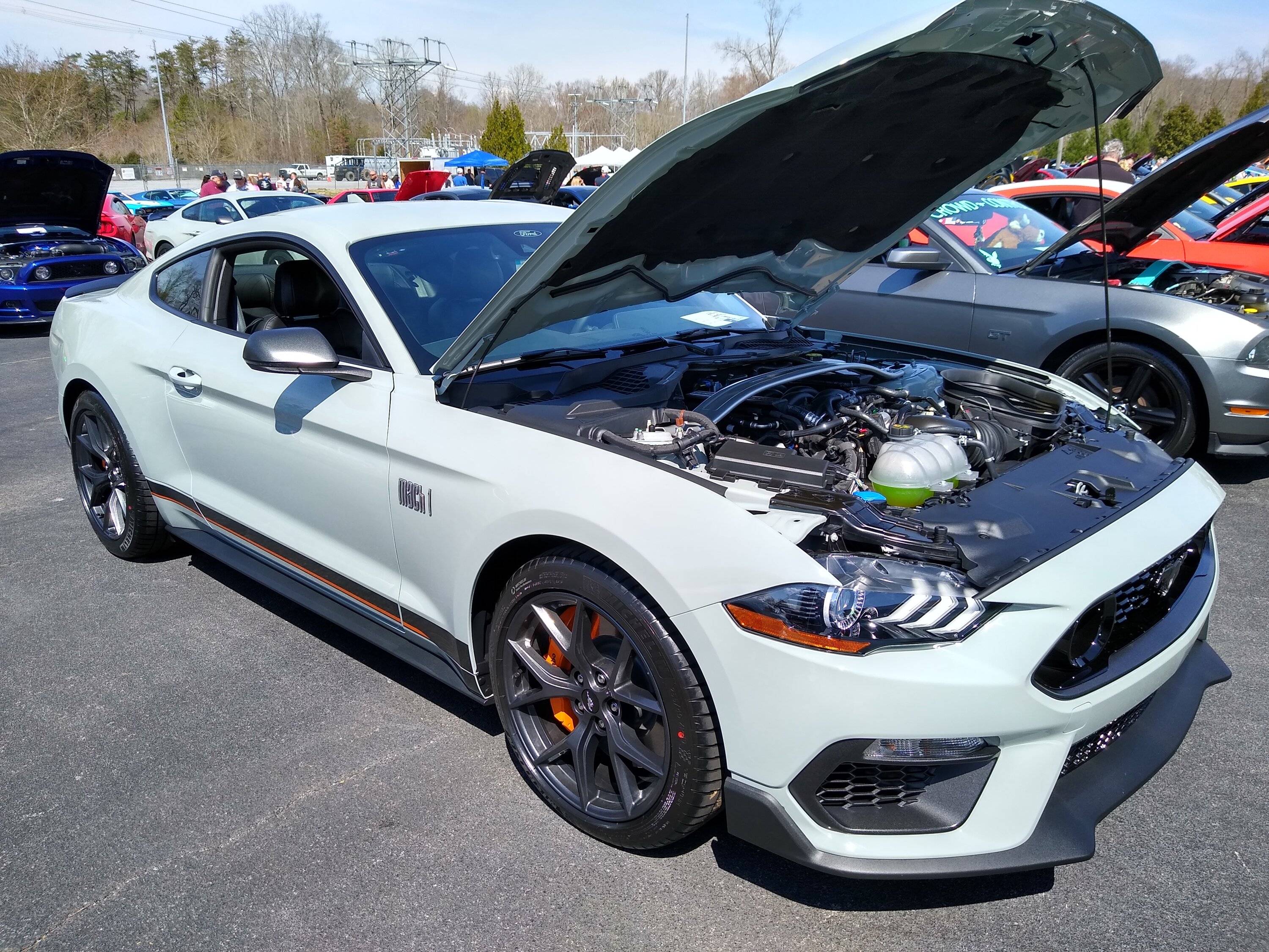IMG_20230324_125055654_HDR.jpg