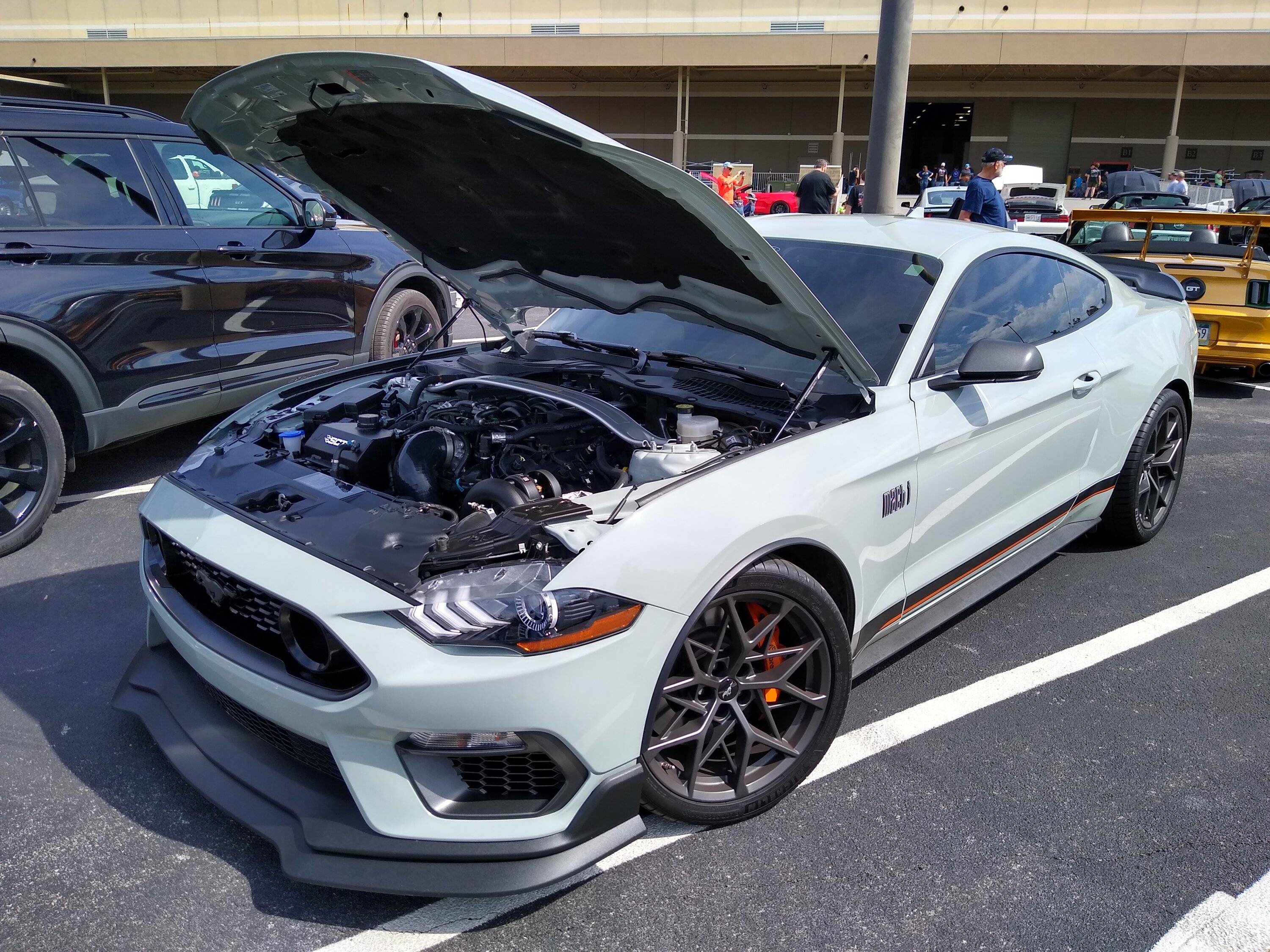 IMG_20230324_145102494_HDR.jpg