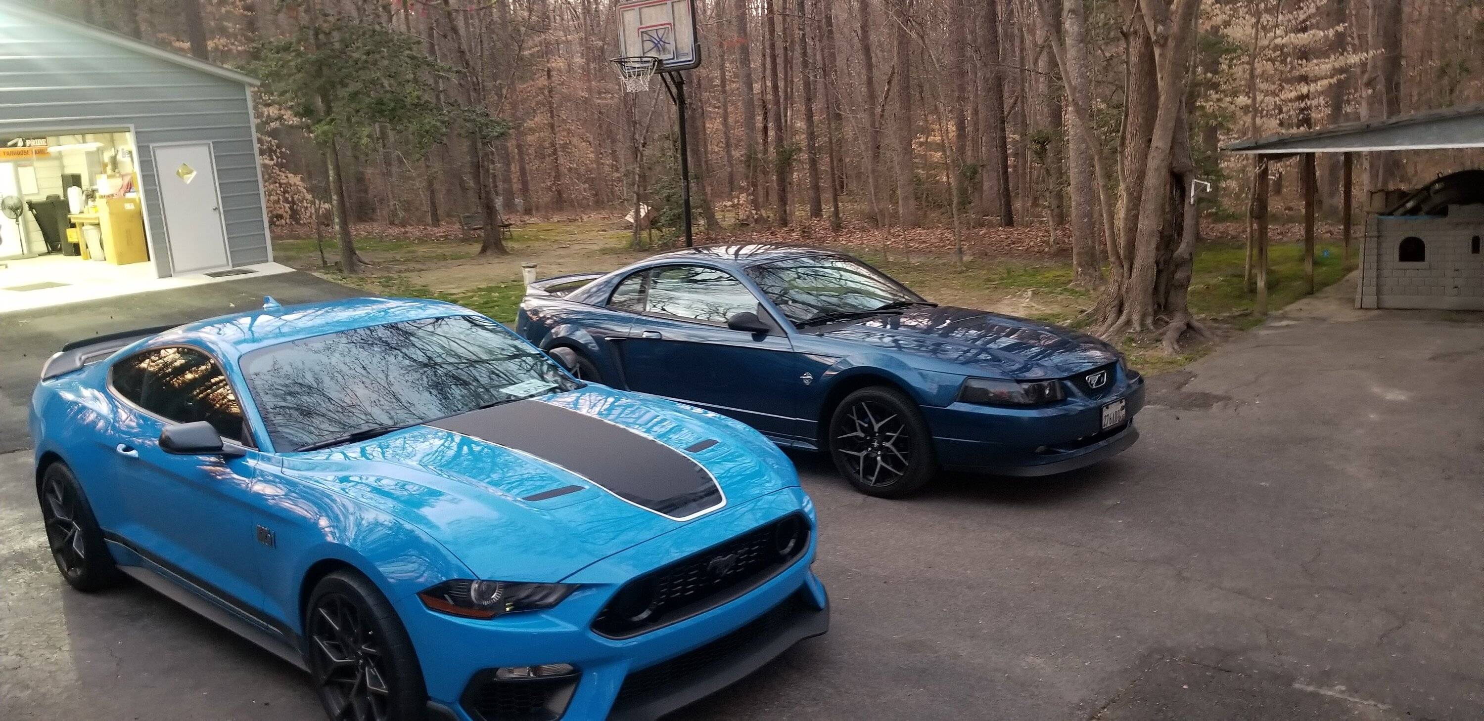 2 cars.jpg