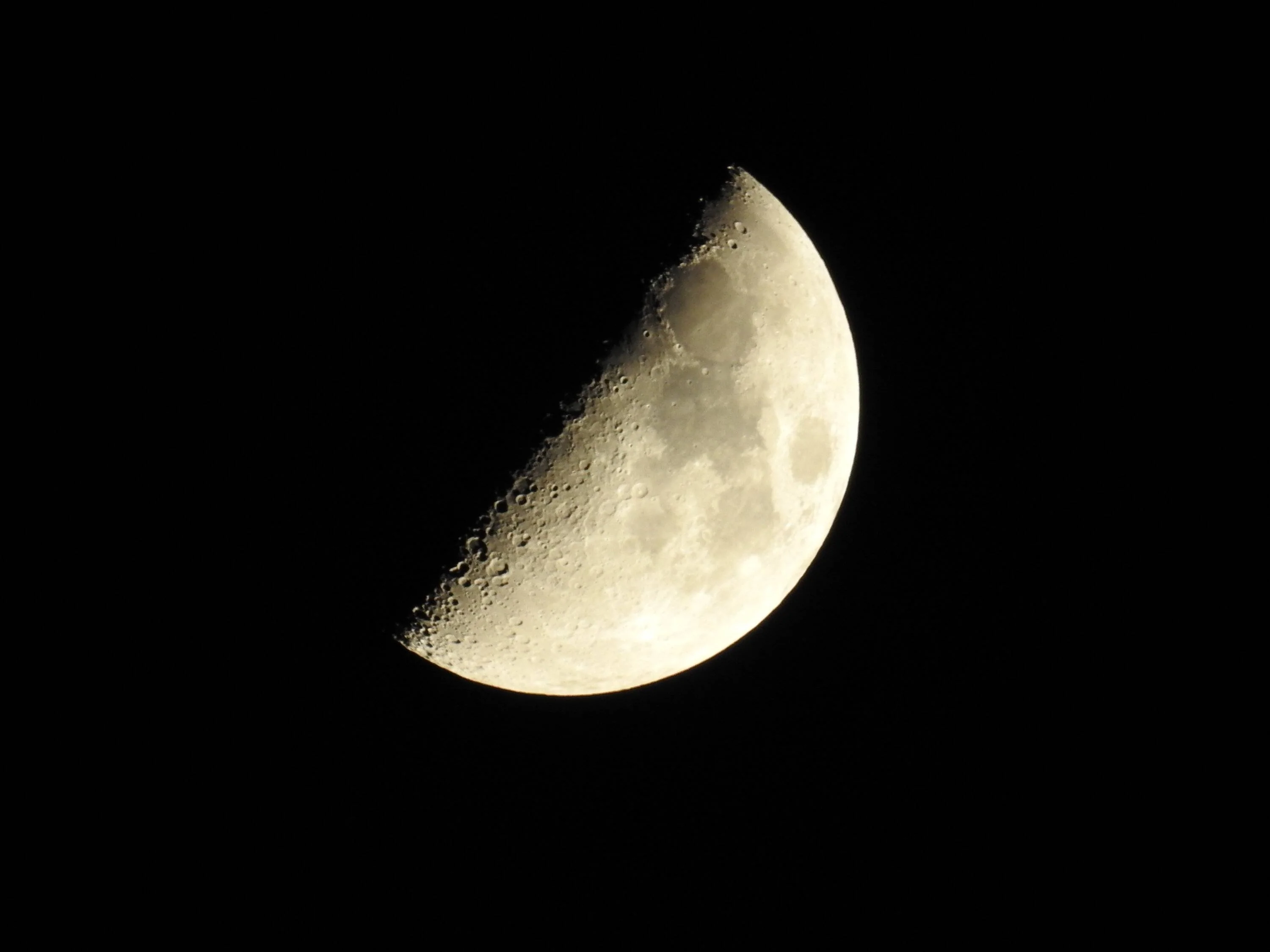 DSCN4522.webp